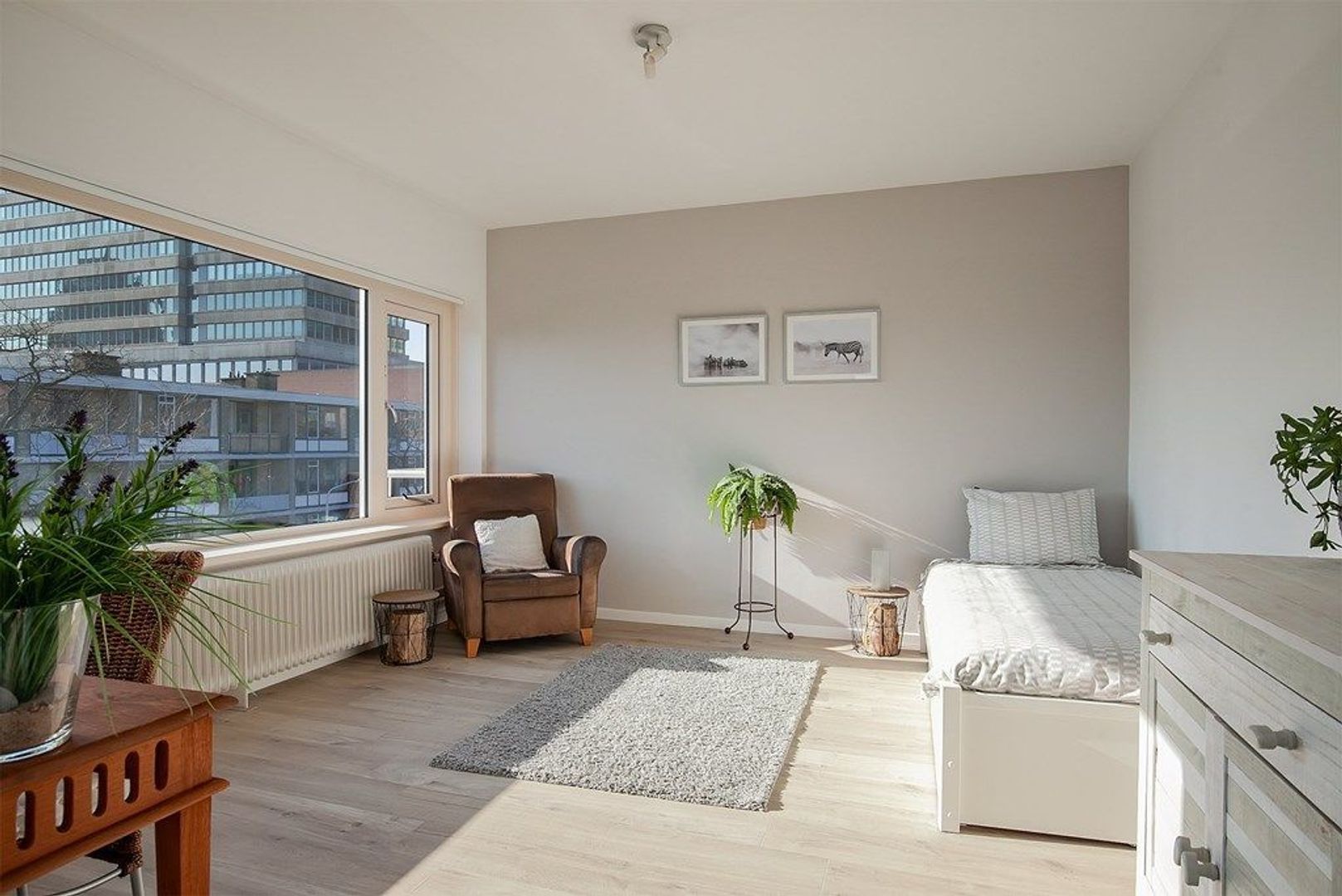 Theresiastraat 12 C, Den Haag foto-11