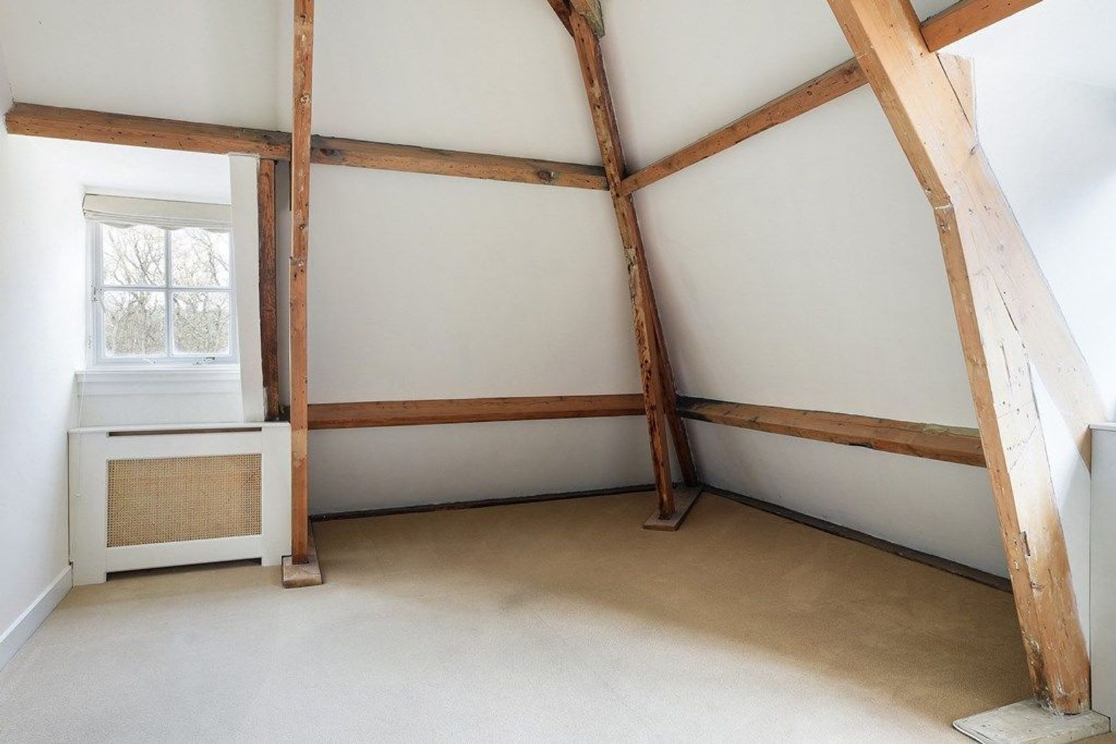 Duindigt, Wassenaar foto-36