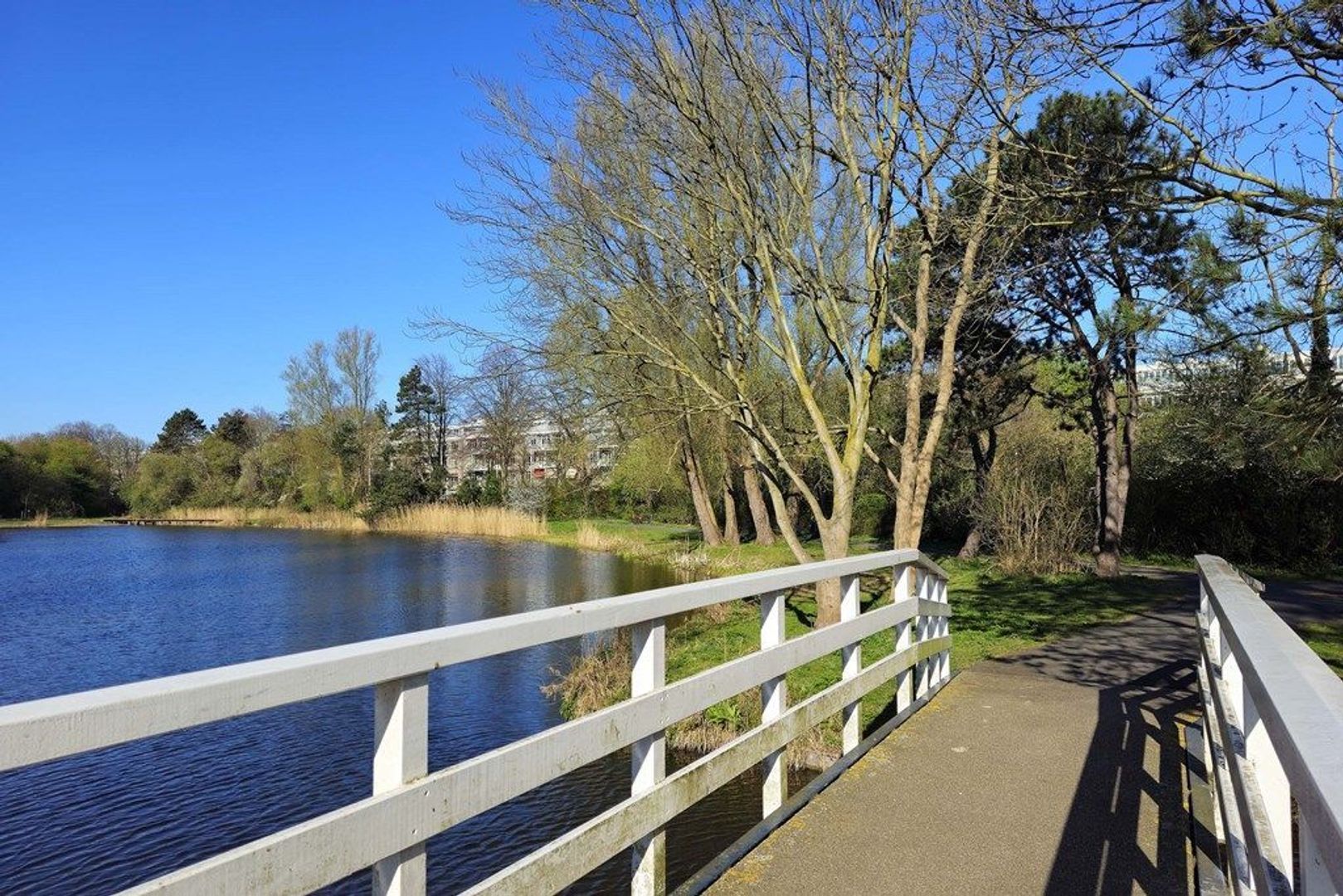 Segbroeklaan 538, Den Haag foto-20