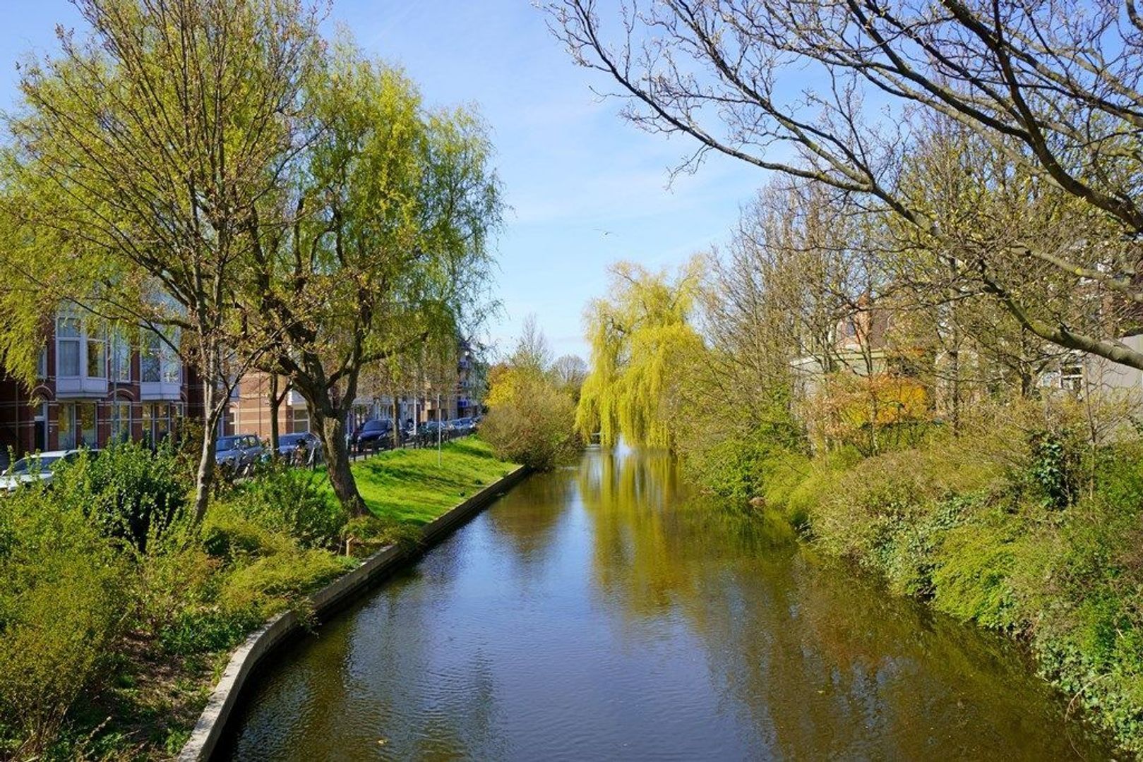 De Réaumurstraat 48, Den Haag foto-23