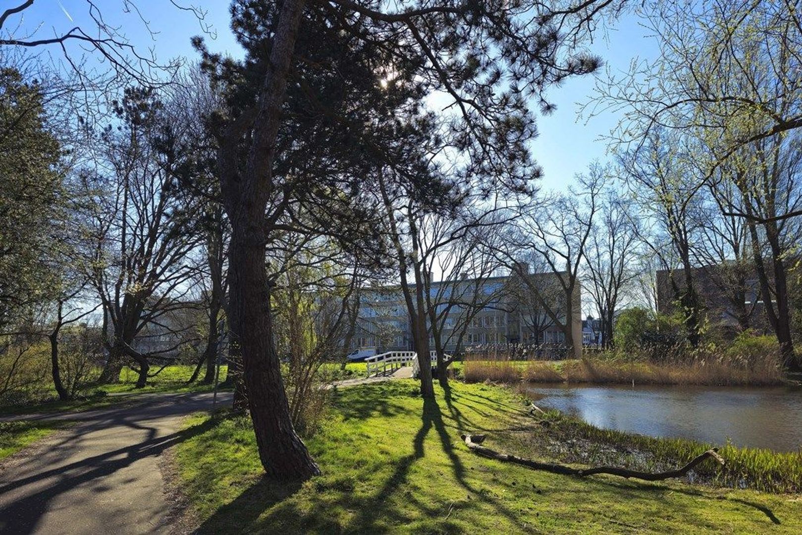 Segbroeklaan 532, Den Haag foto-22