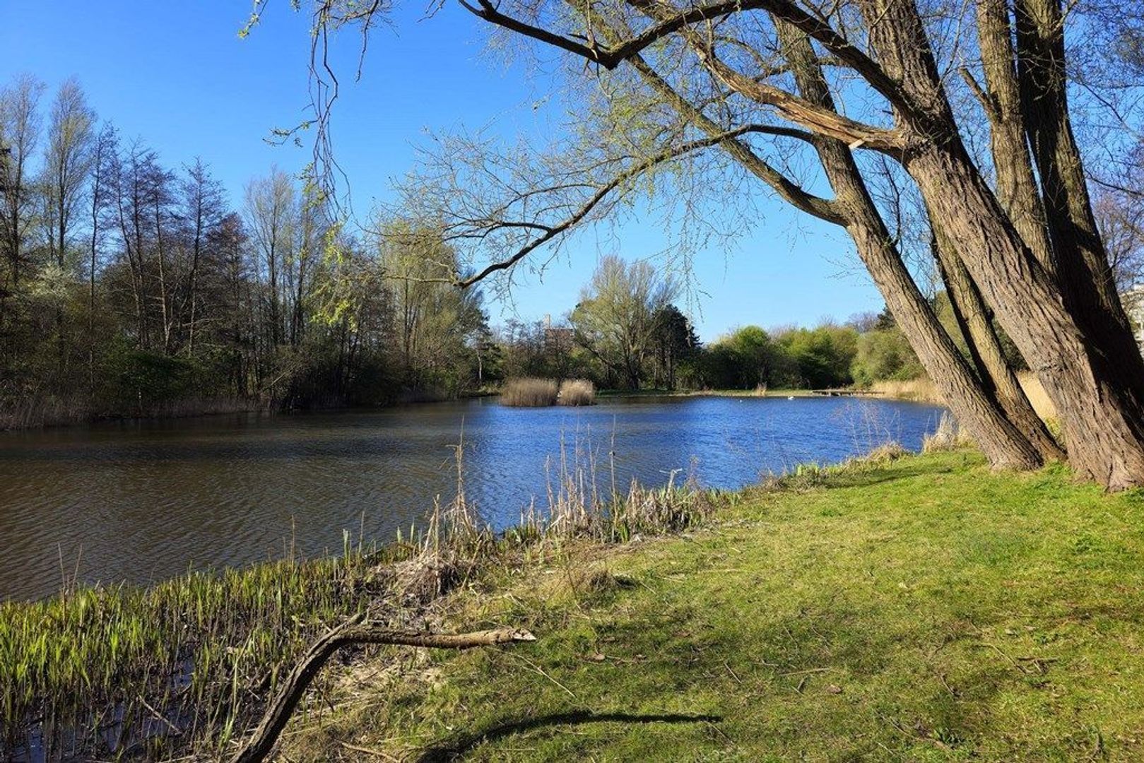 Segbroeklaan 532, Den Haag foto-21