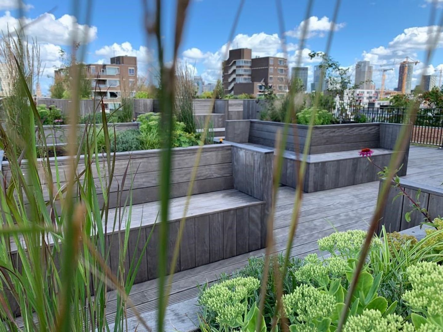 Van Vollenhovenstraat 3 806, Rotterdam foto-27