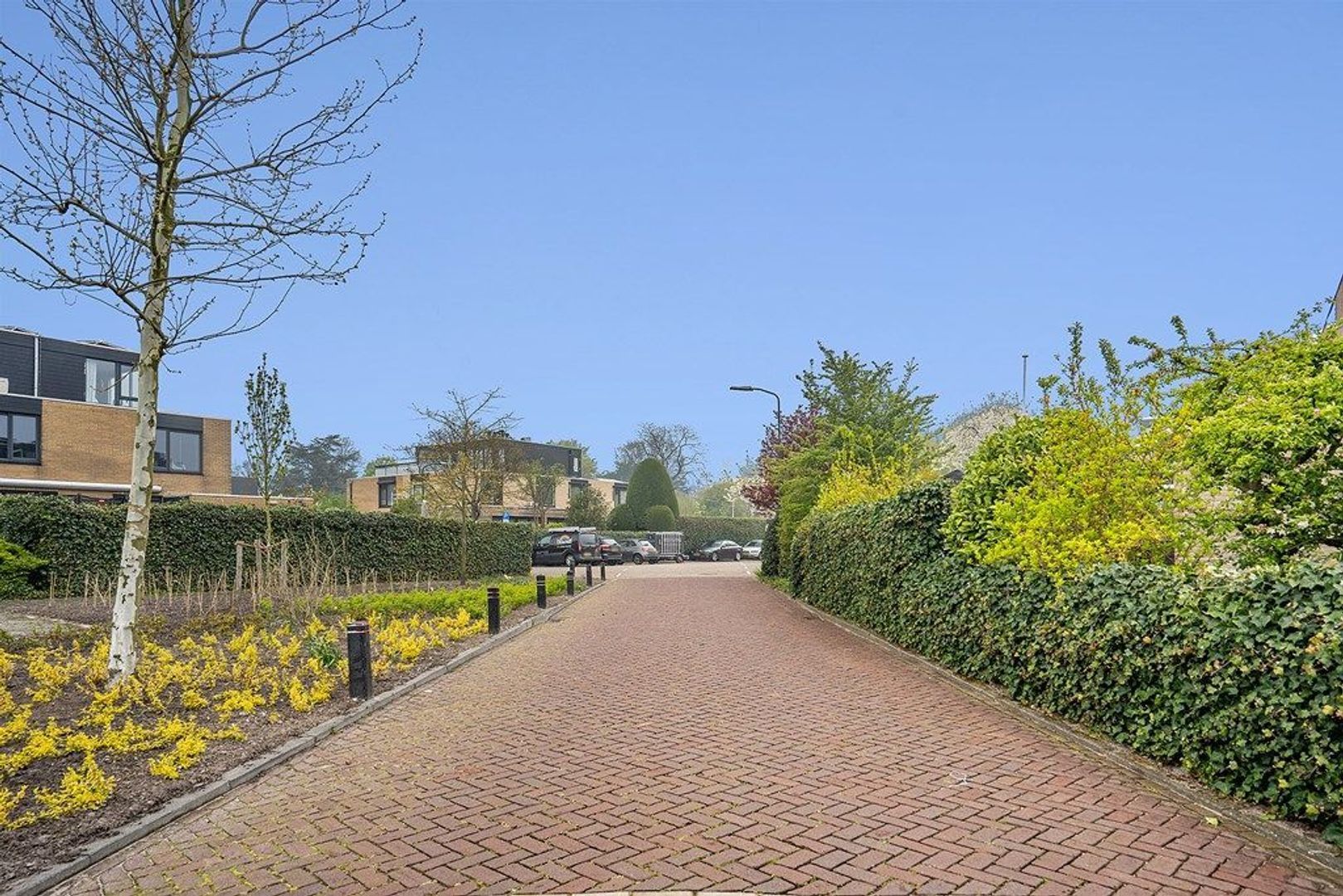 Rozentuin 8, Voorburg foto-22