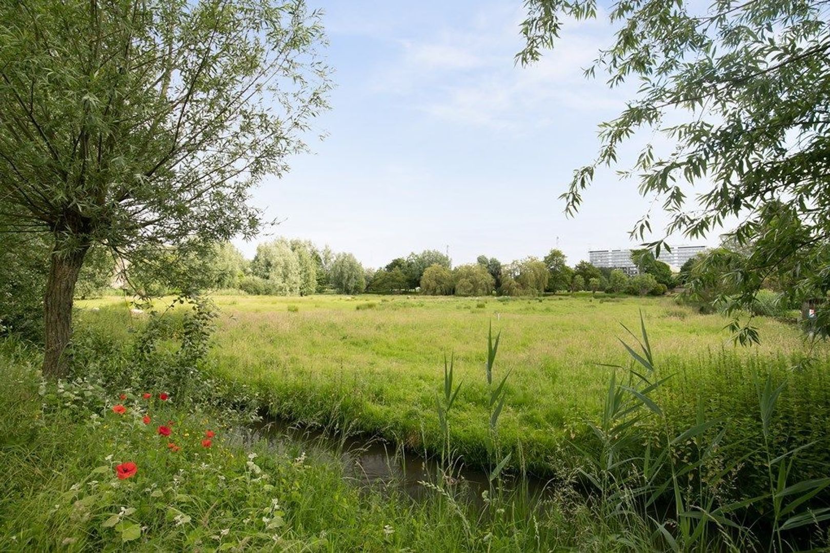 Amerbachstraat 13, Rotterdam foto-42