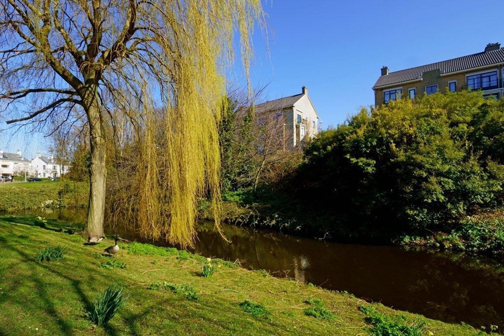 De Savornin Lohmanlaan 146, Den Haag foto-15