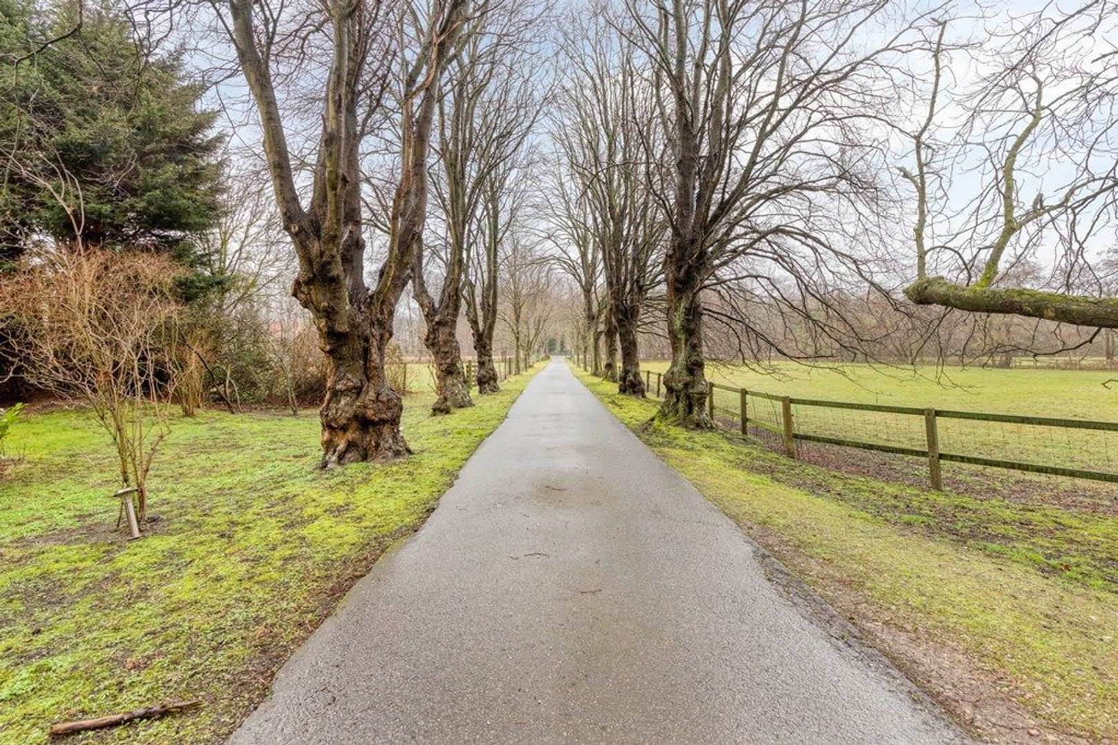 Duindigt 4, Wassenaar foto-25