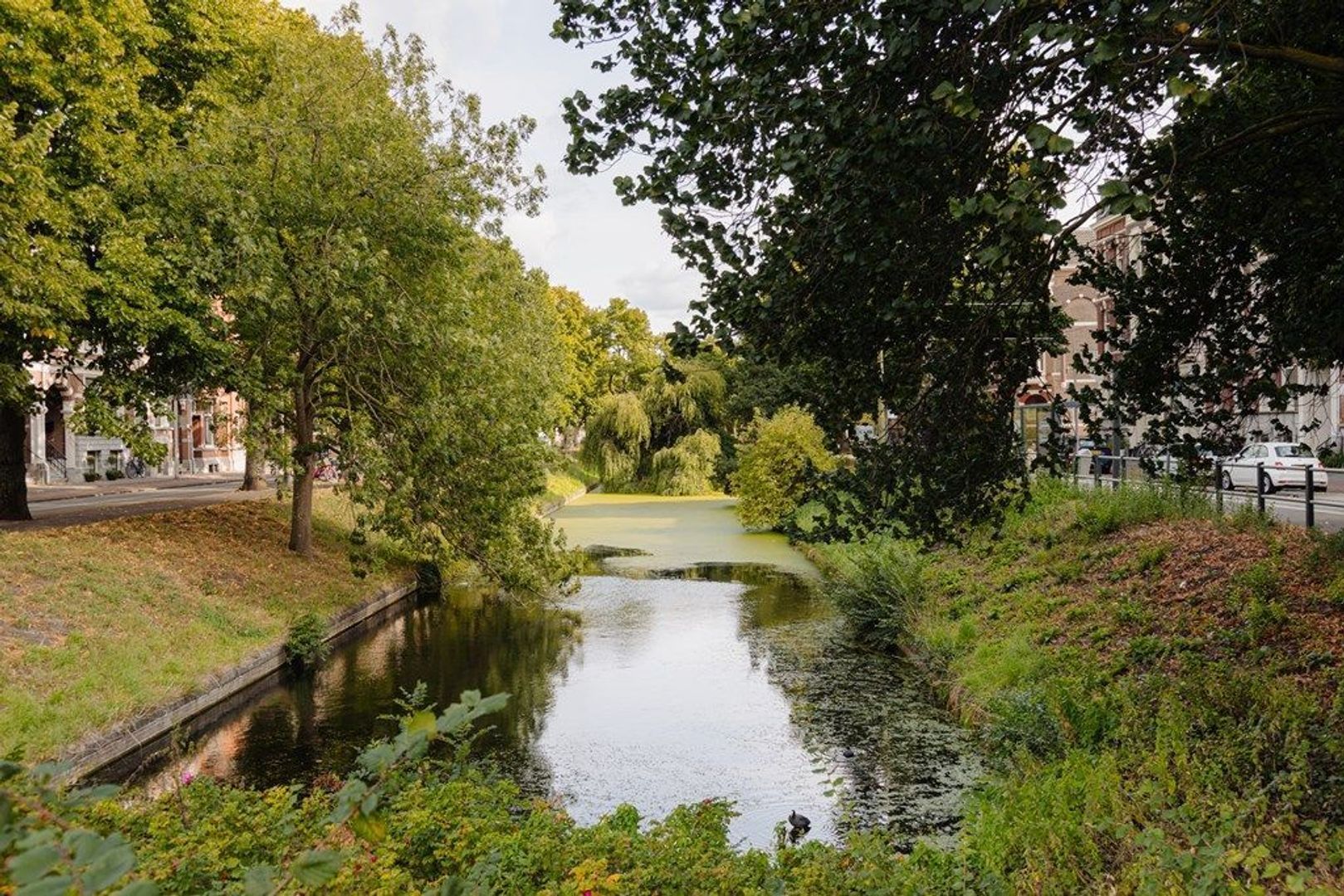 Groot Hertoginnelaan 101, Den Haag foto-77