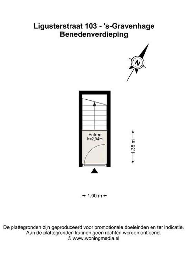 Ligusterstraat 103, Den Haag foto-32