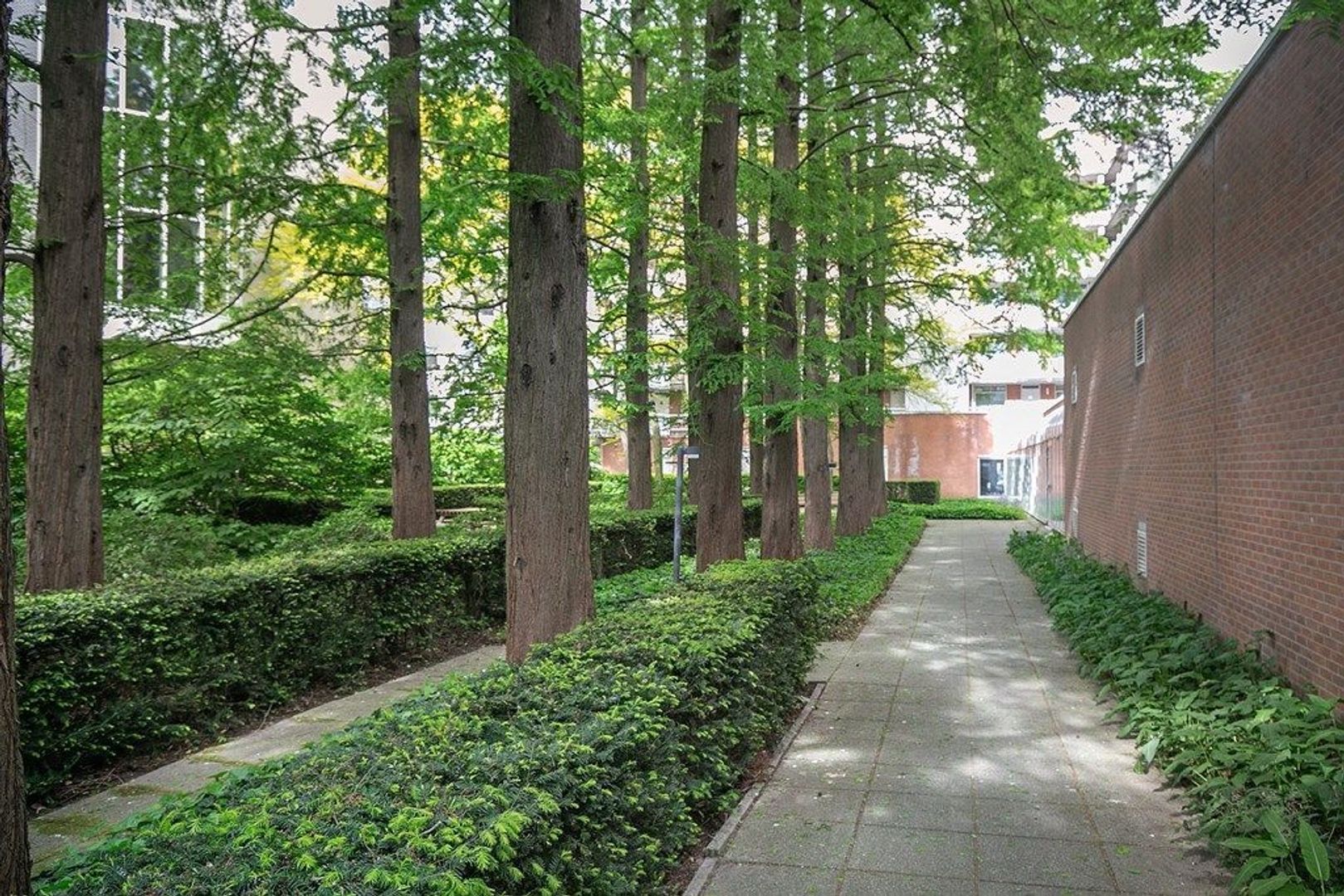 Karel Doormanstraat 299 D, Rotterdam foto-14