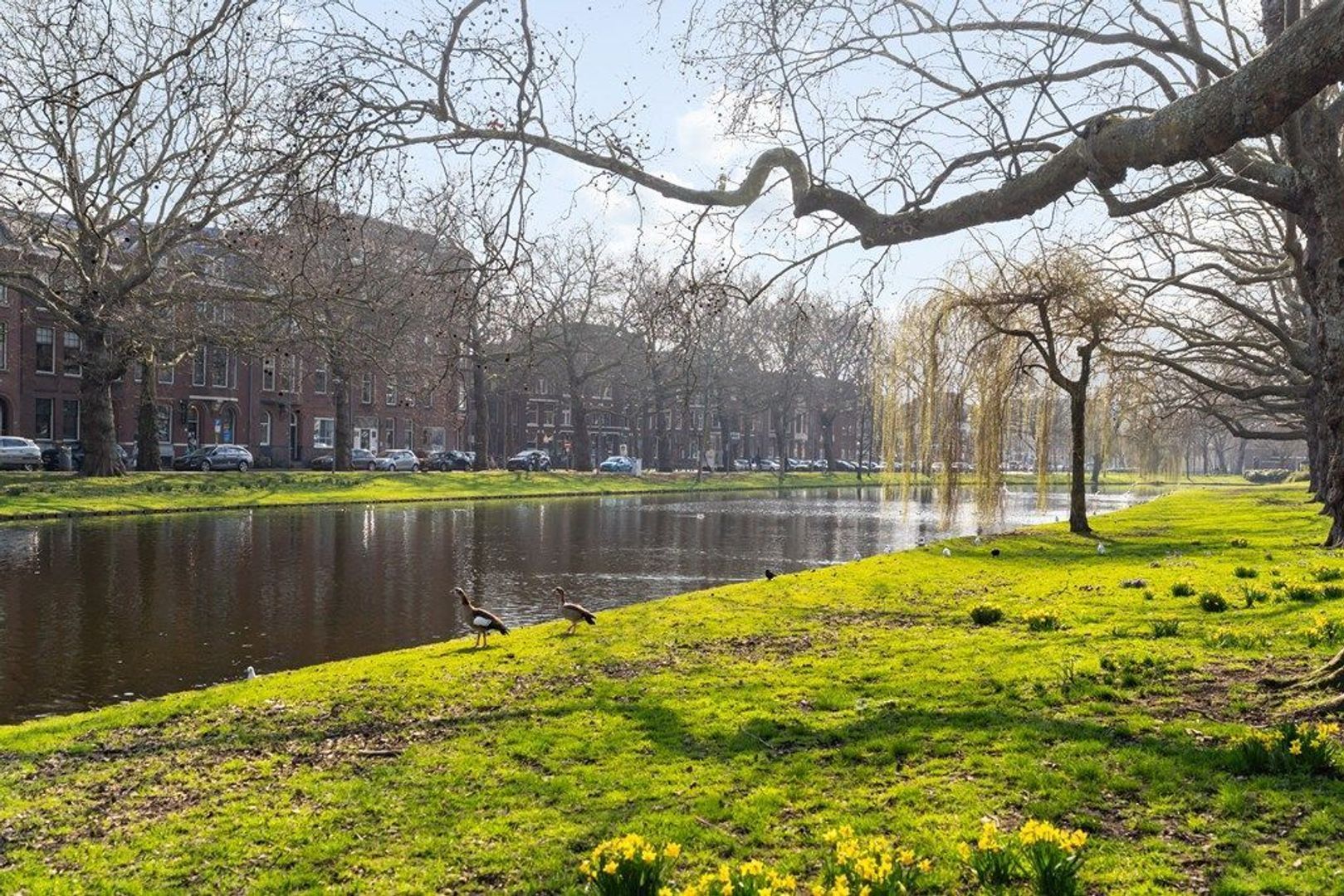 Heemraadssingel 94 D, Rotterdam foto-29
