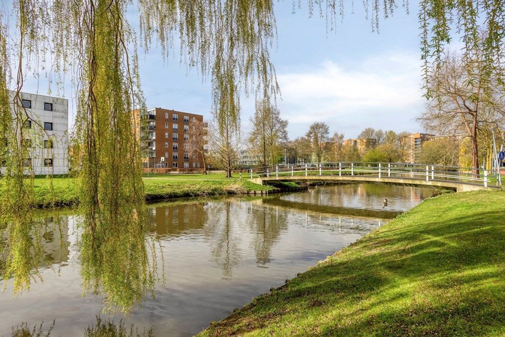 Ariadnestraat 48, Rotterdam foto-23