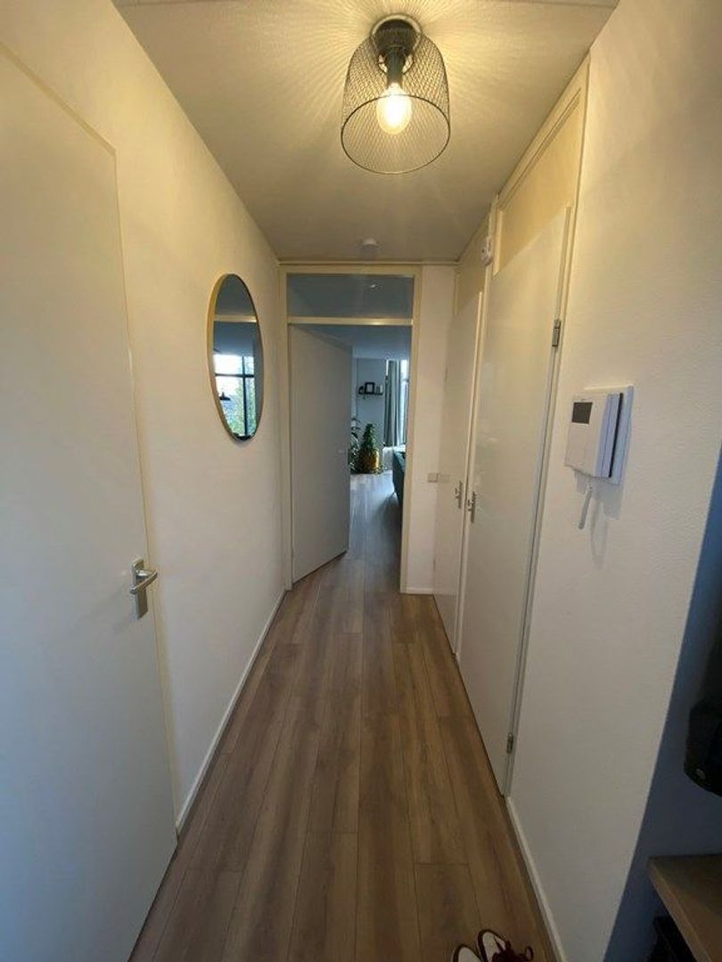 Achter het Plein 7, Wateringen foto-4