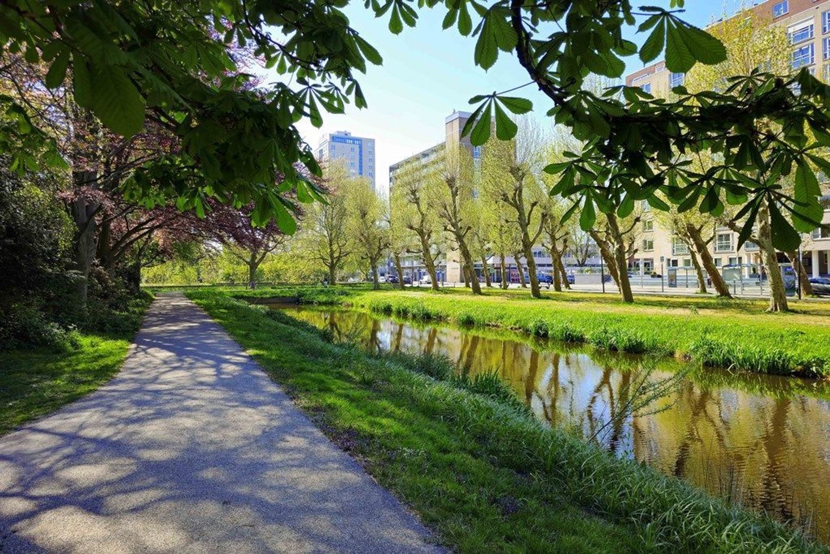 Bucaillestraat 10, Voorburg foto-31