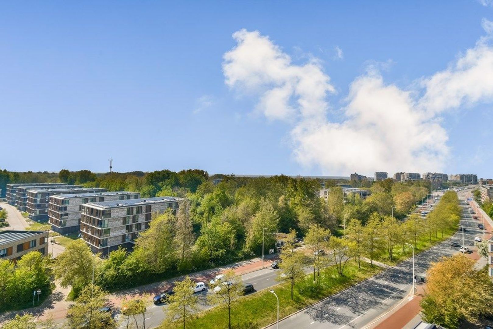 Teunisbloemplein 71, Den Haag foto-3
