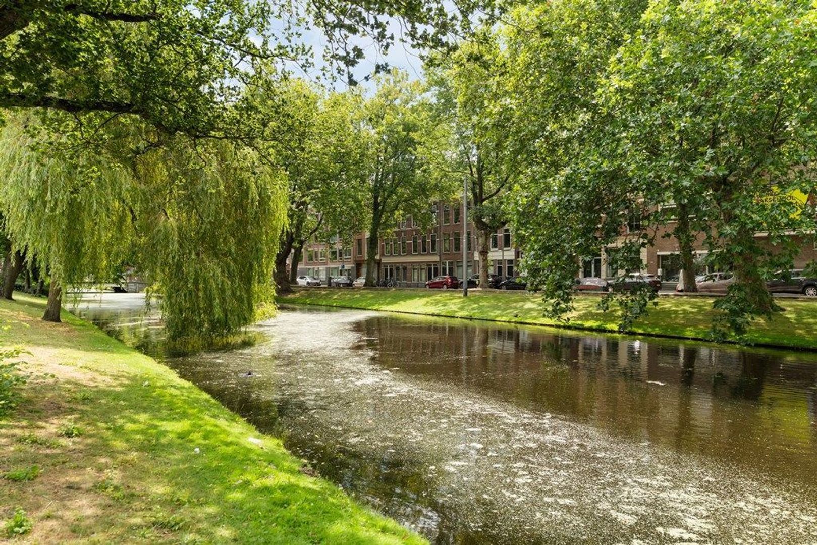 Erasmusstraat 203, Rotterdam foto-4