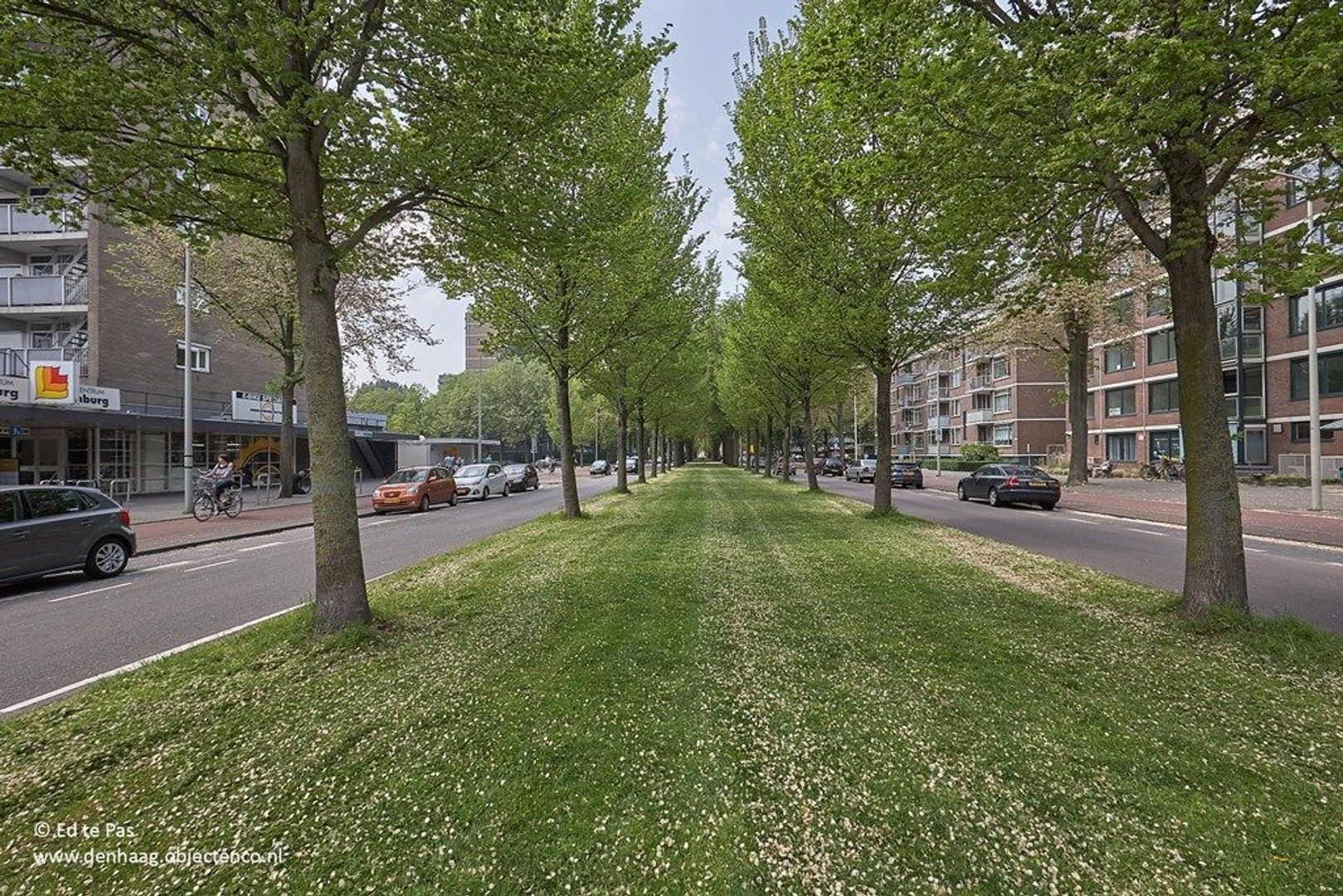 Nieuwediepstraat 56, Den Haag foto-35