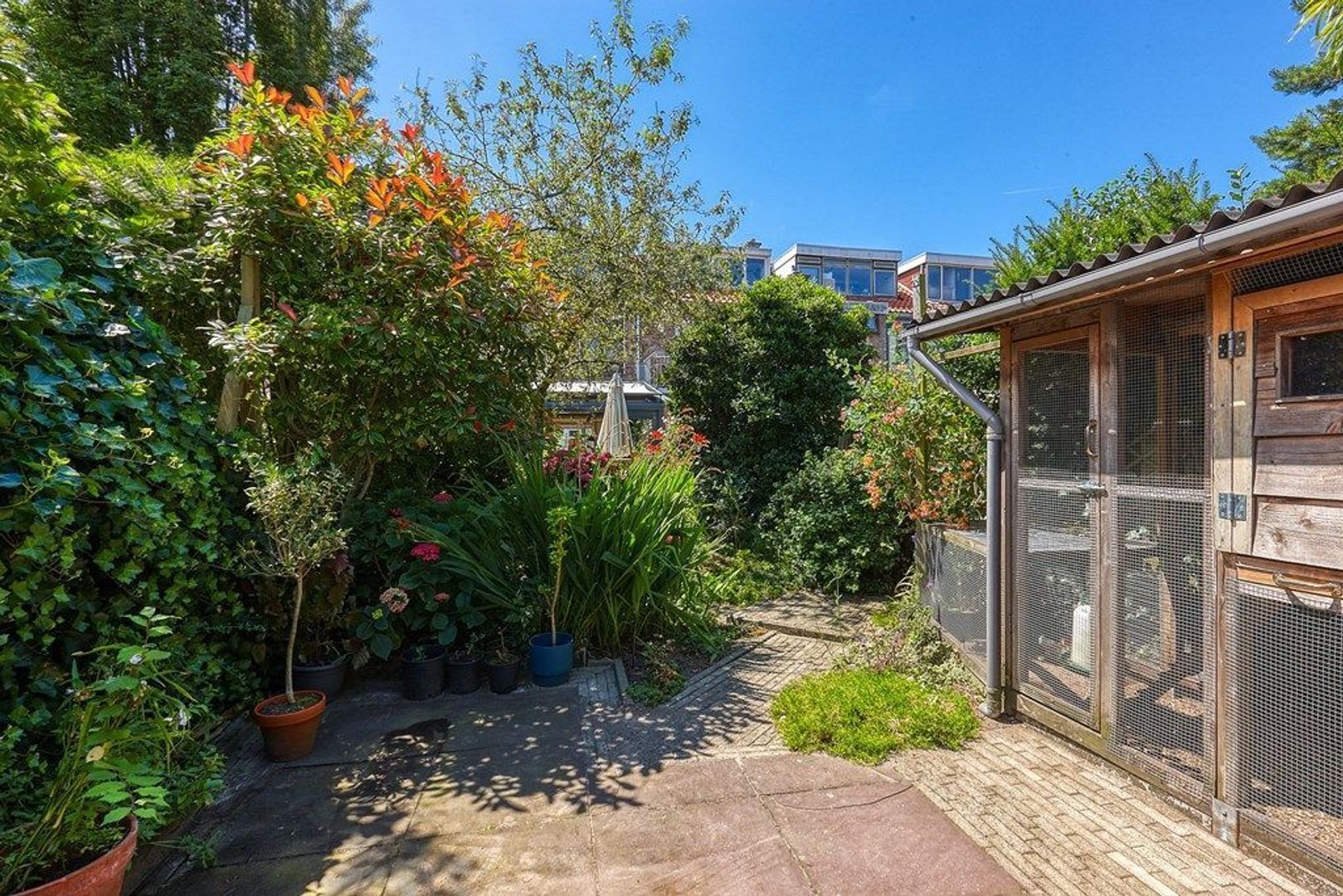 Nieuwediepstraat 56, Den Haag foto-13