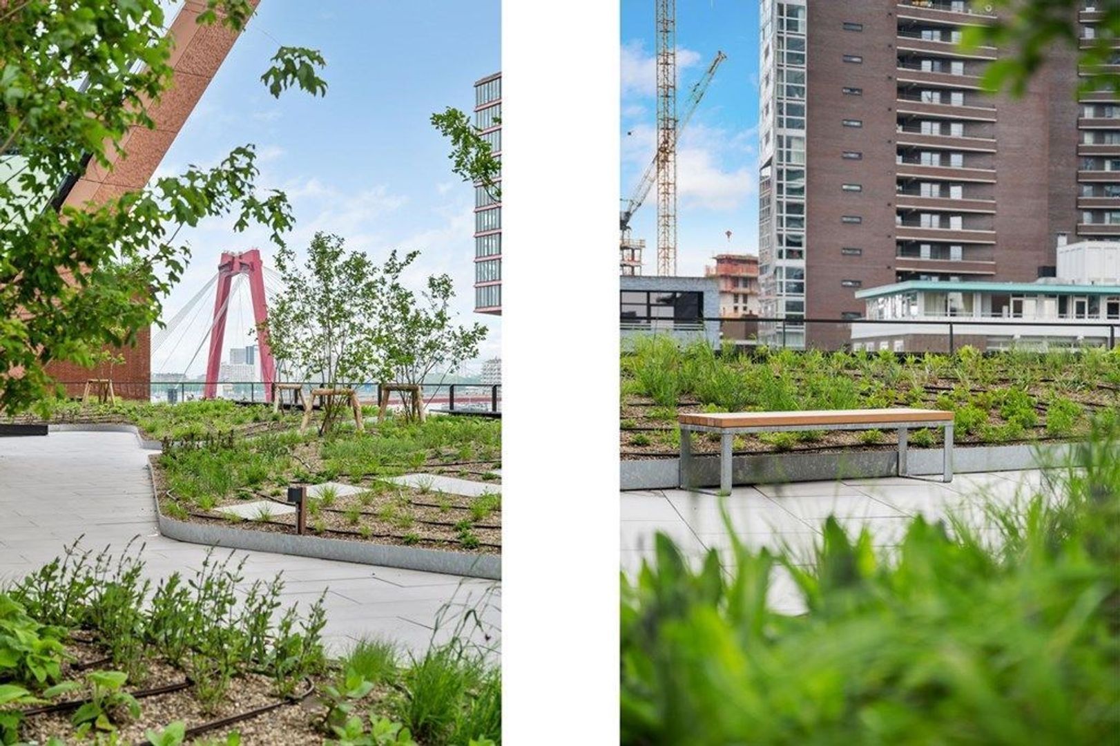 Wijnhaven 71 E, Rotterdam foto-22
