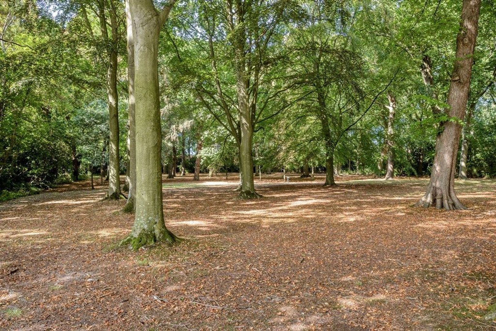 Farensbach Hof 6, Voorschoten foto-30