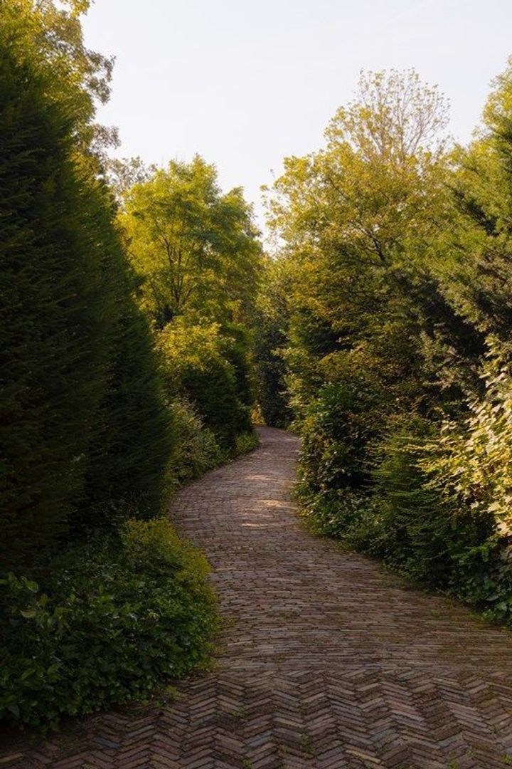 Middelweg 2, Den Haag foto-93