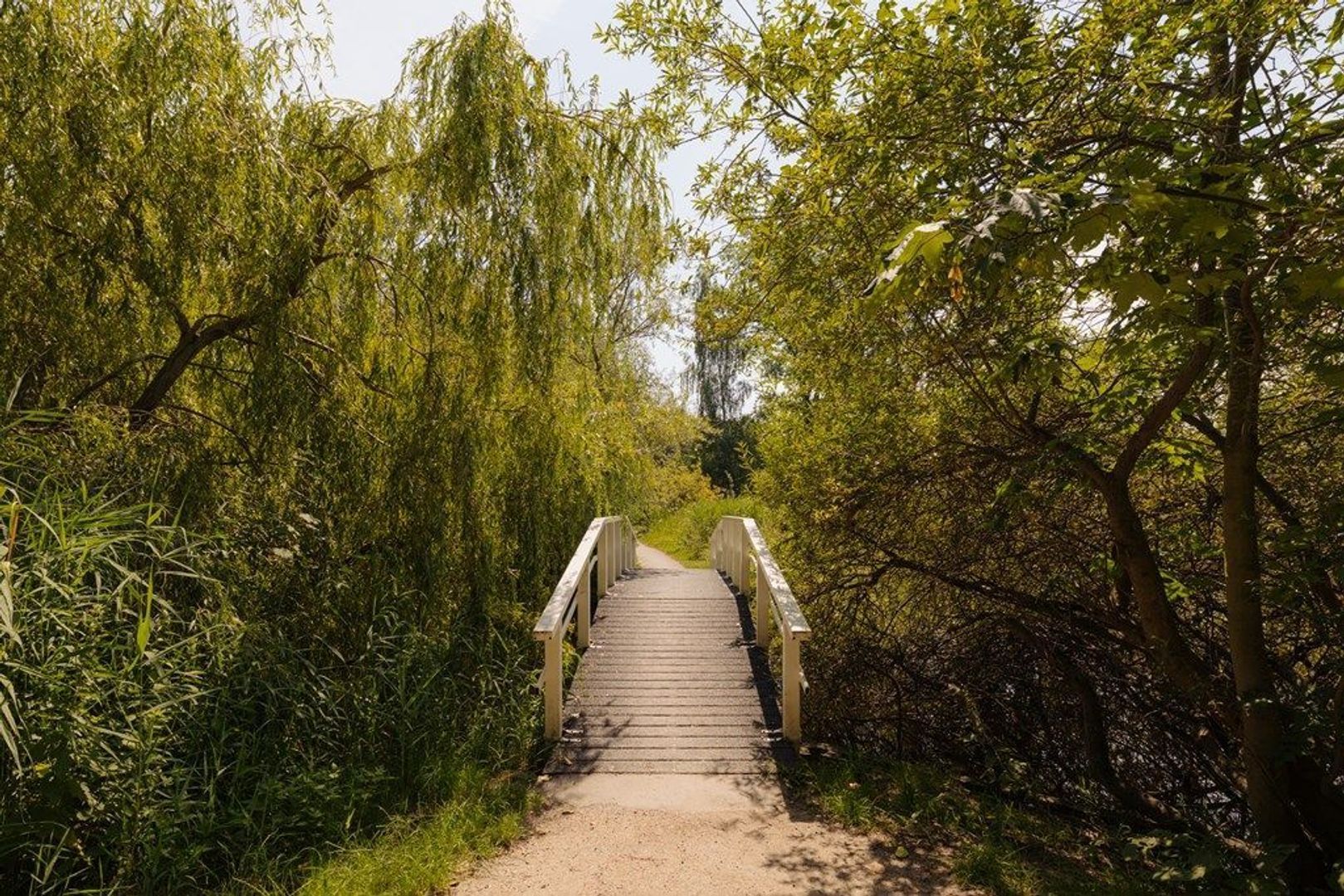 Middelweg 2, Den Haag foto-106