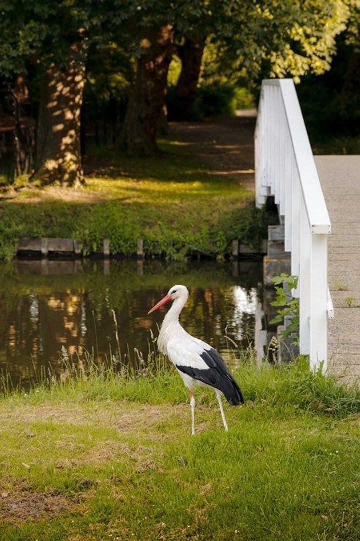 Middelweg 2, Den Haag foto-104
