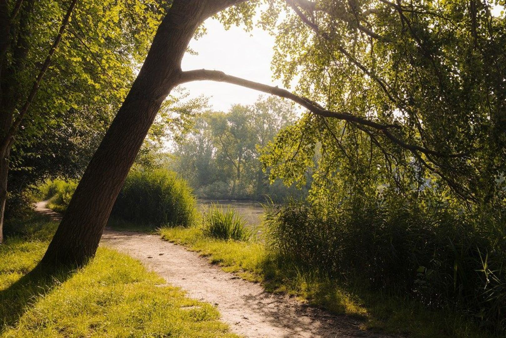 Middelweg 2, Den Haag foto-105
