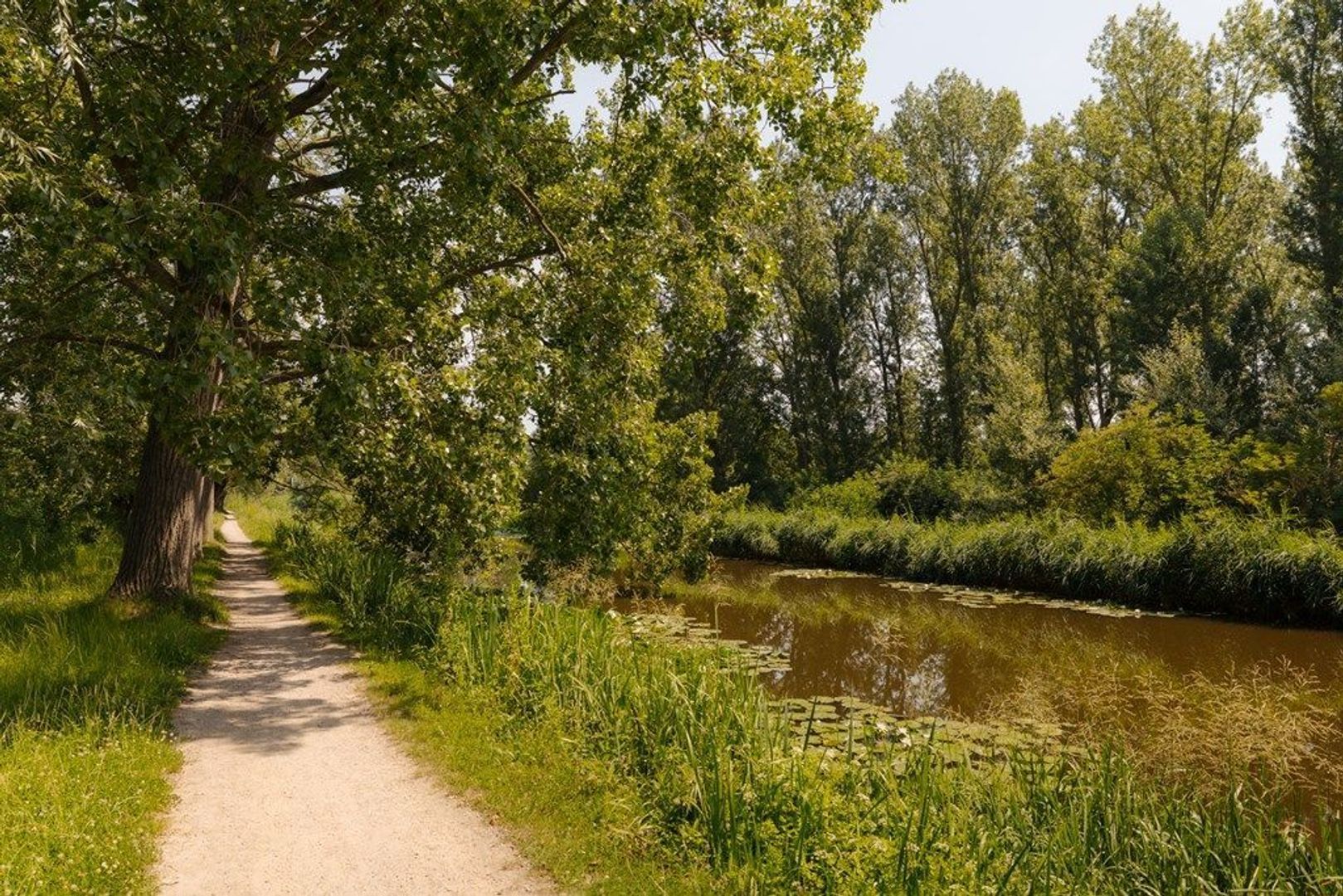 Middelweg 2, Den Haag foto-108