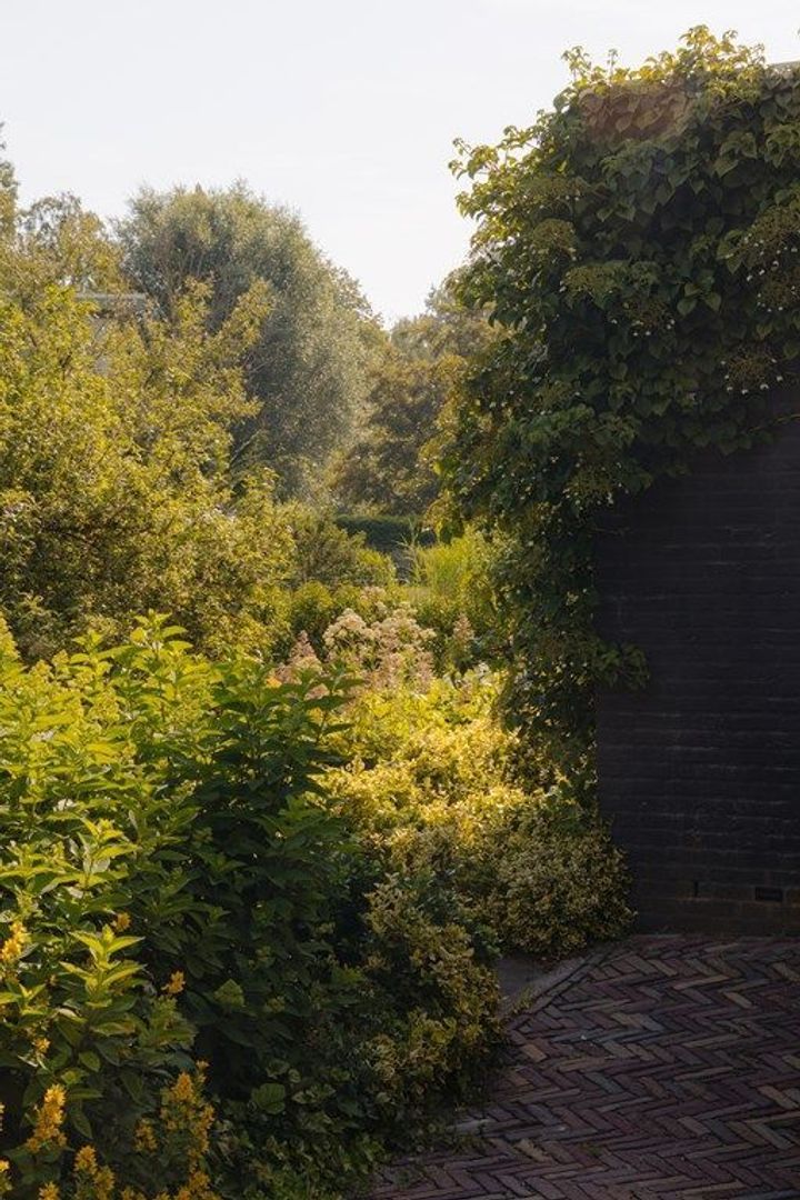 Middelweg 2, Den Haag foto-95