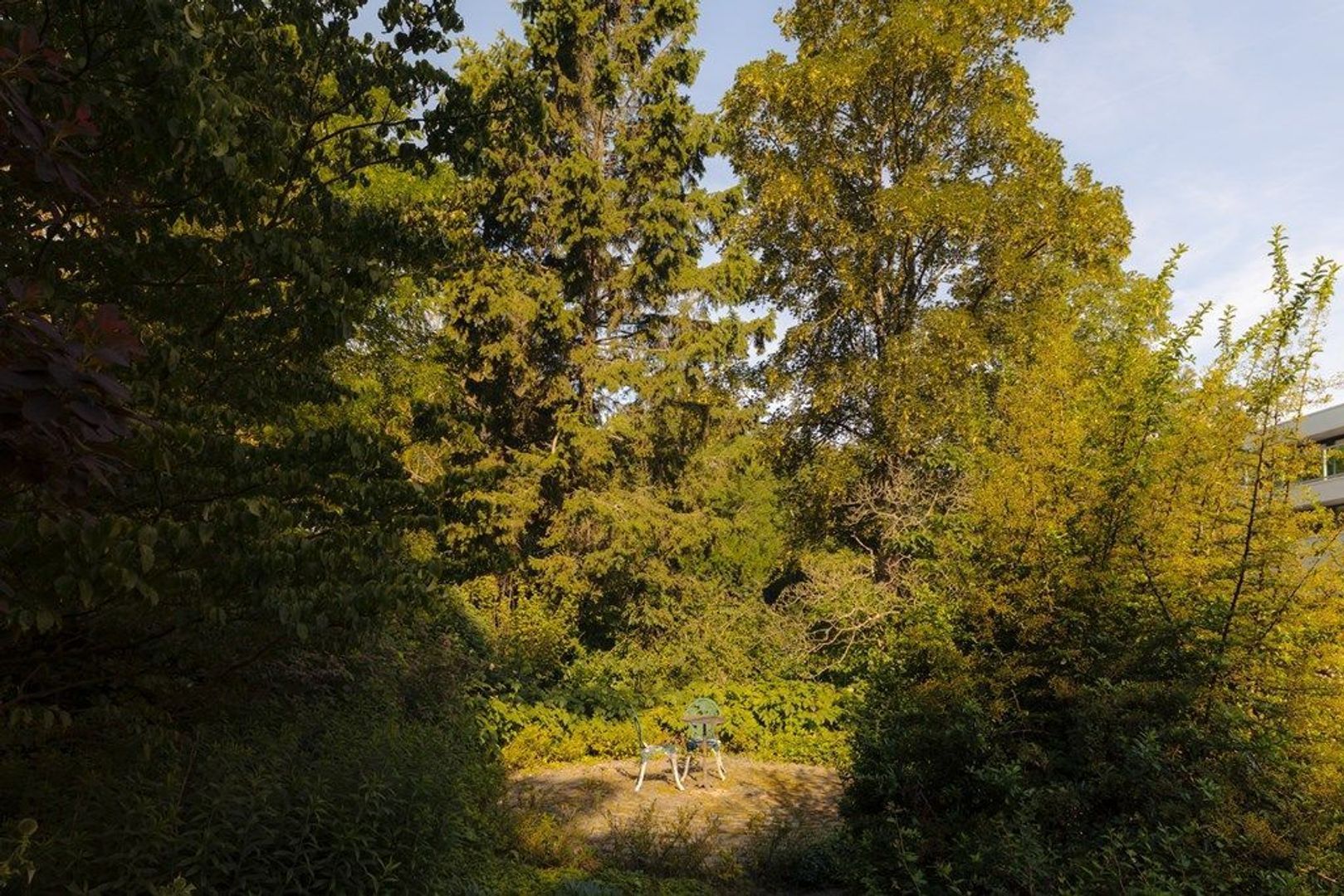 Middelweg 2, Den Haag foto-85
