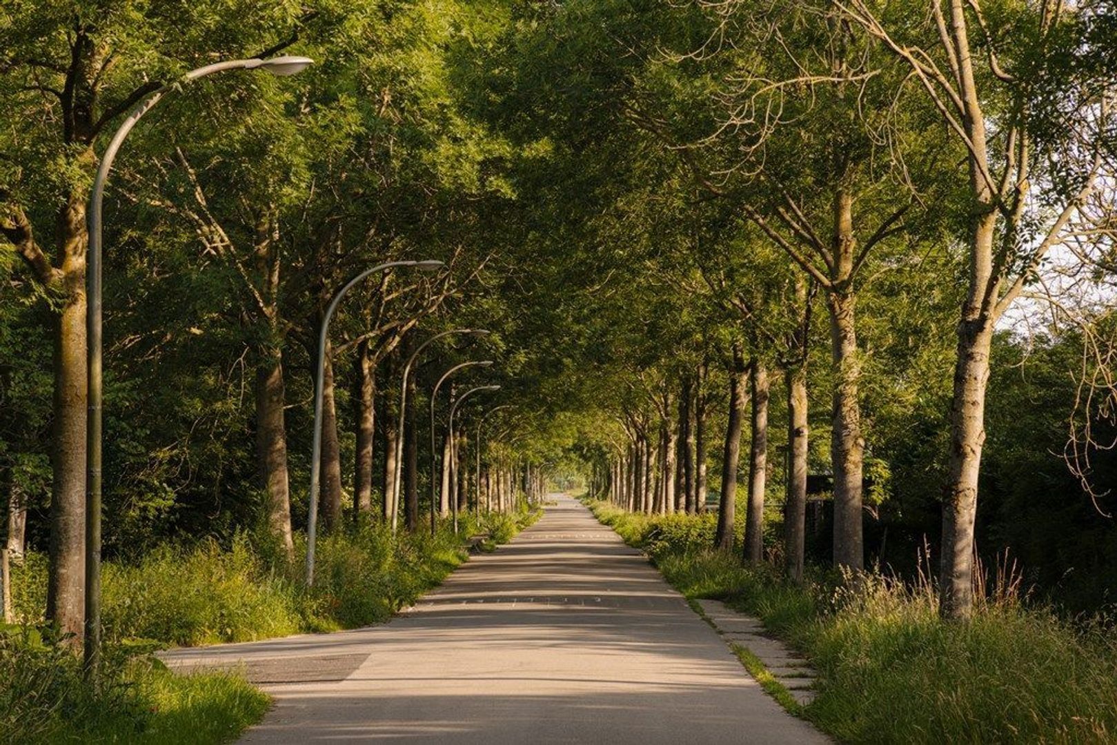 Middelweg 2, Den Haag foto-102