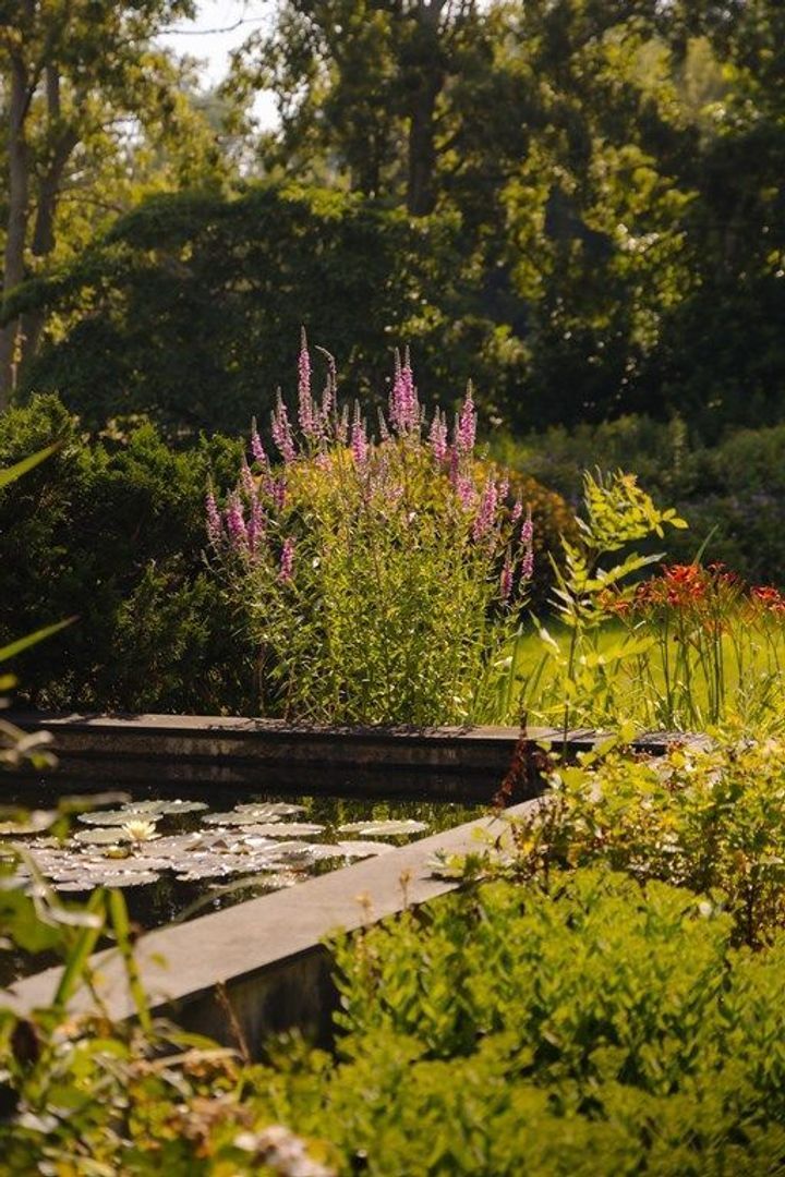 Middelweg 2, Den Haag foto-72