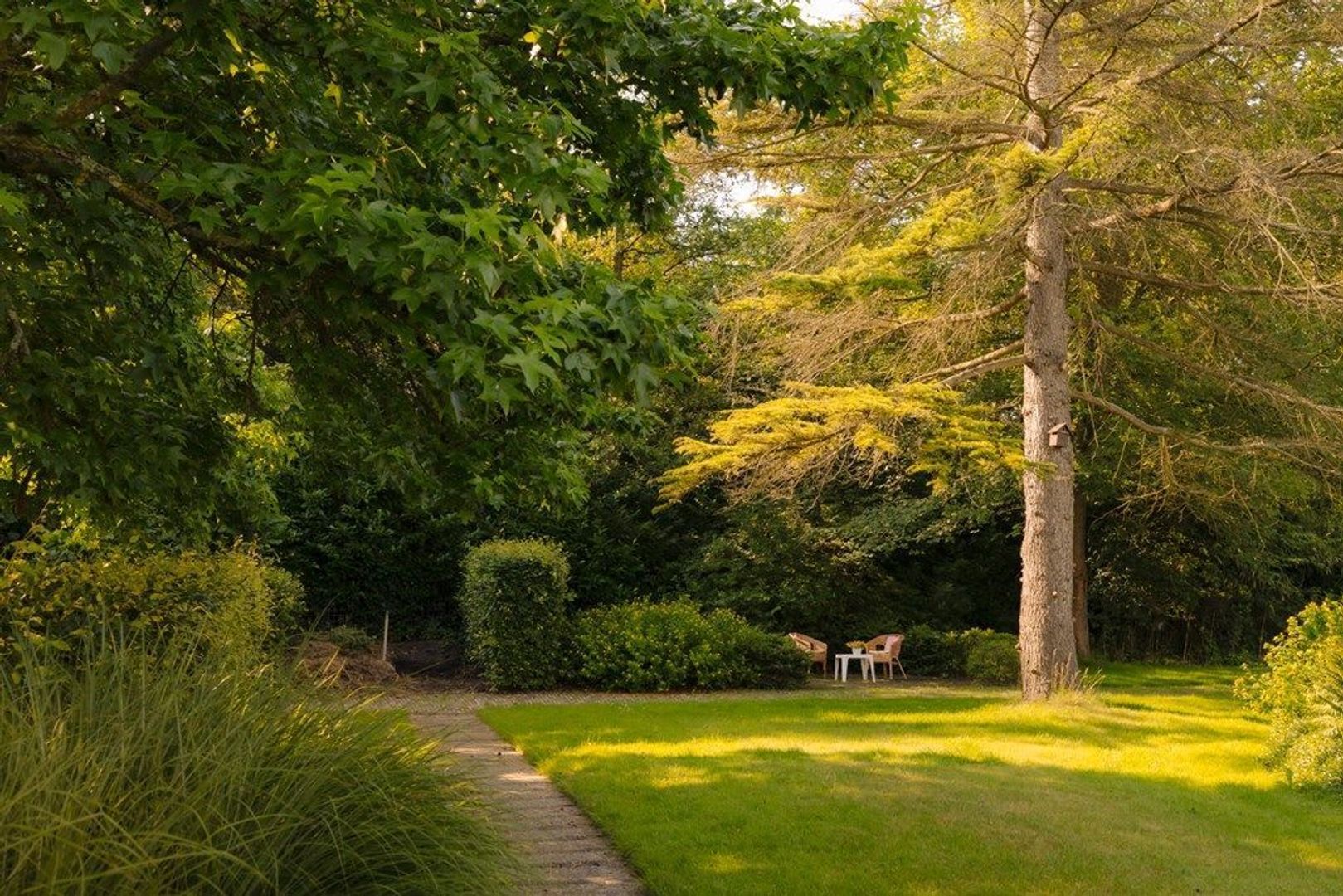Middelweg 2, Den Haag foto-84