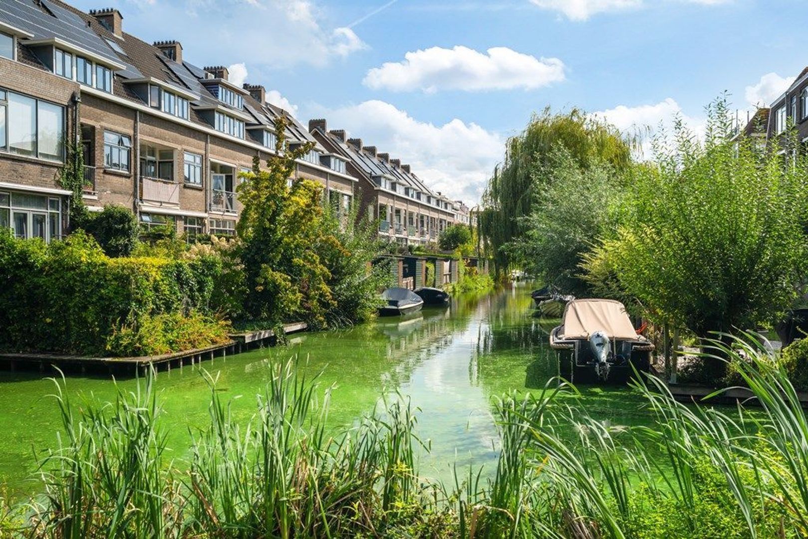 Nieuwe Kerkstraat 67 B, Rotterdam foto-13