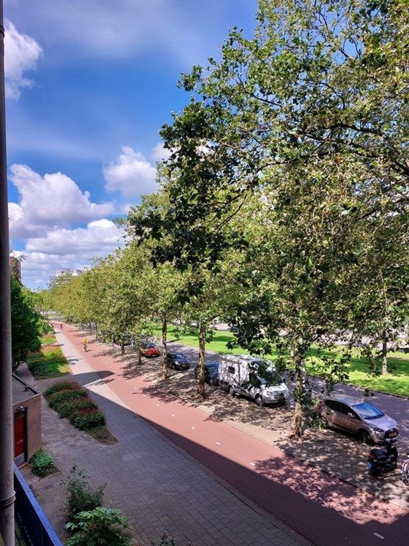 Goudsesingel, Rotterdam foto-17
