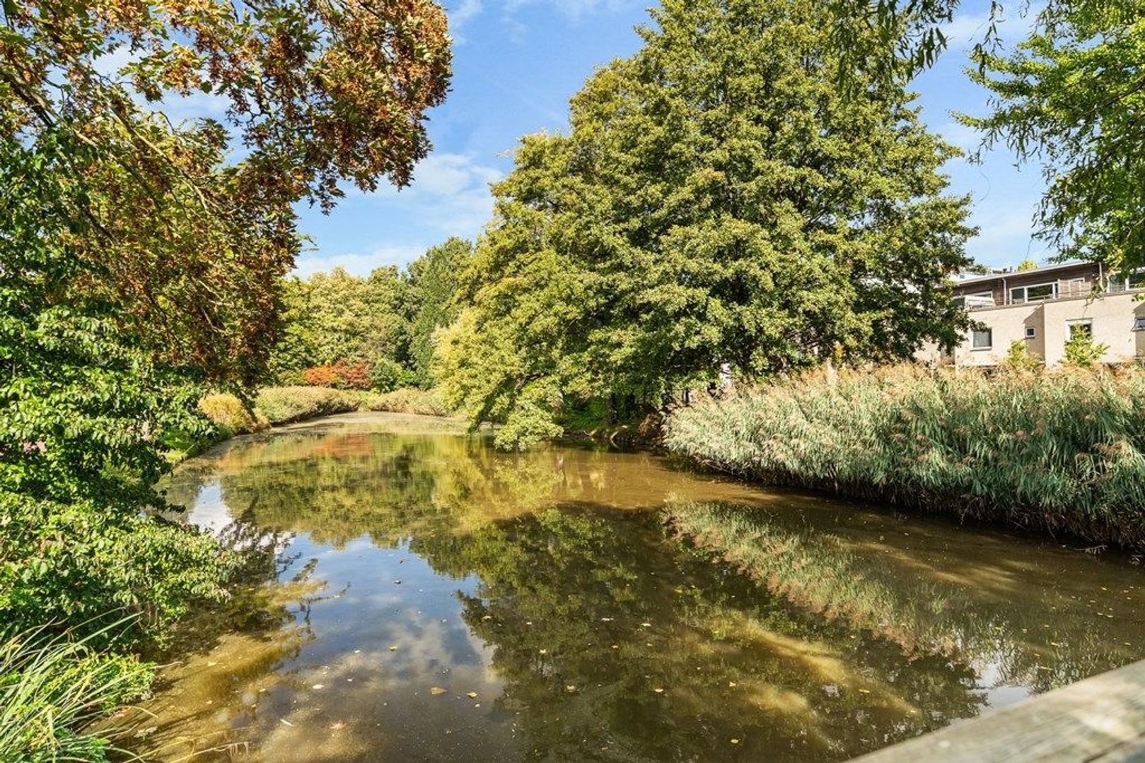 Lutulisingel 45, Rotterdam foto-35