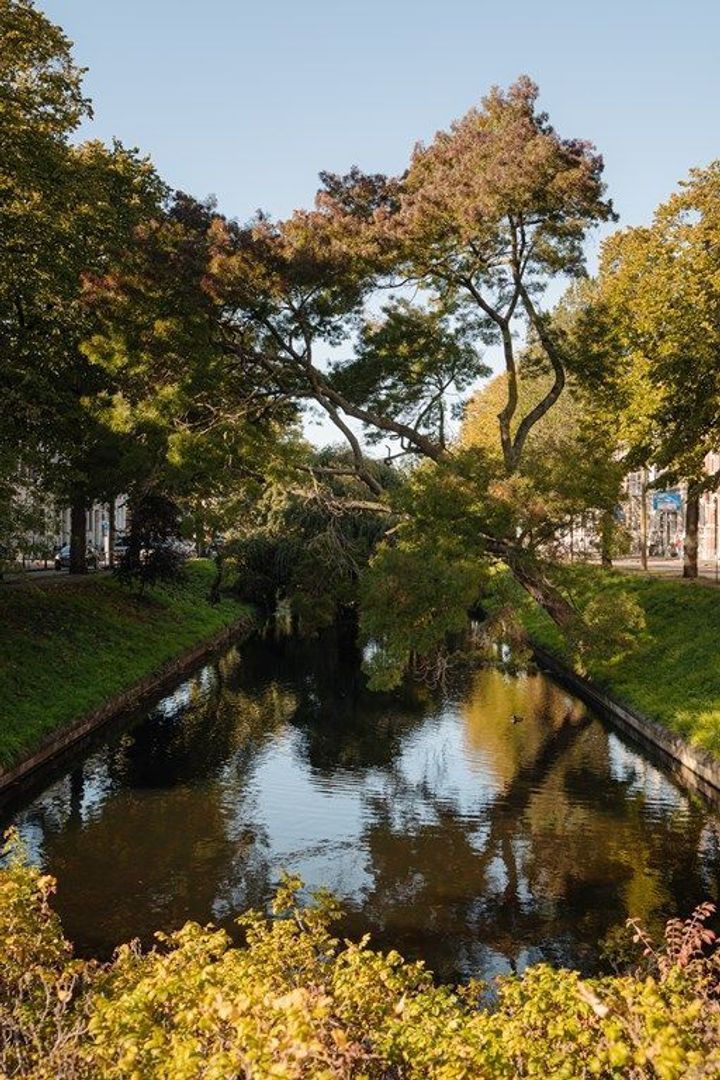 Van Blankenburgstraat 3, Den Haag foto-63
