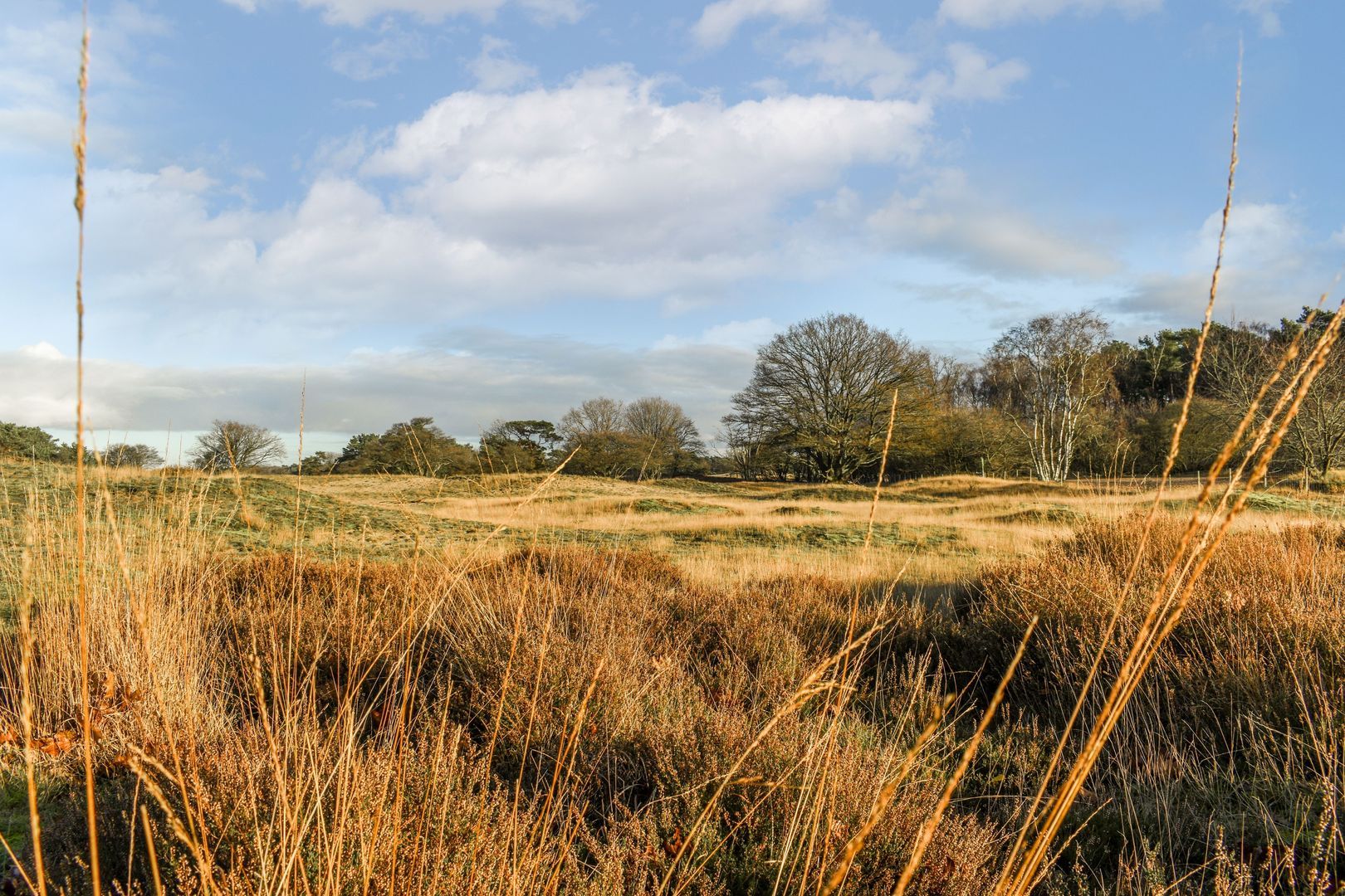 Kamerlingh Onnesweg 239, Hilversum foto-21