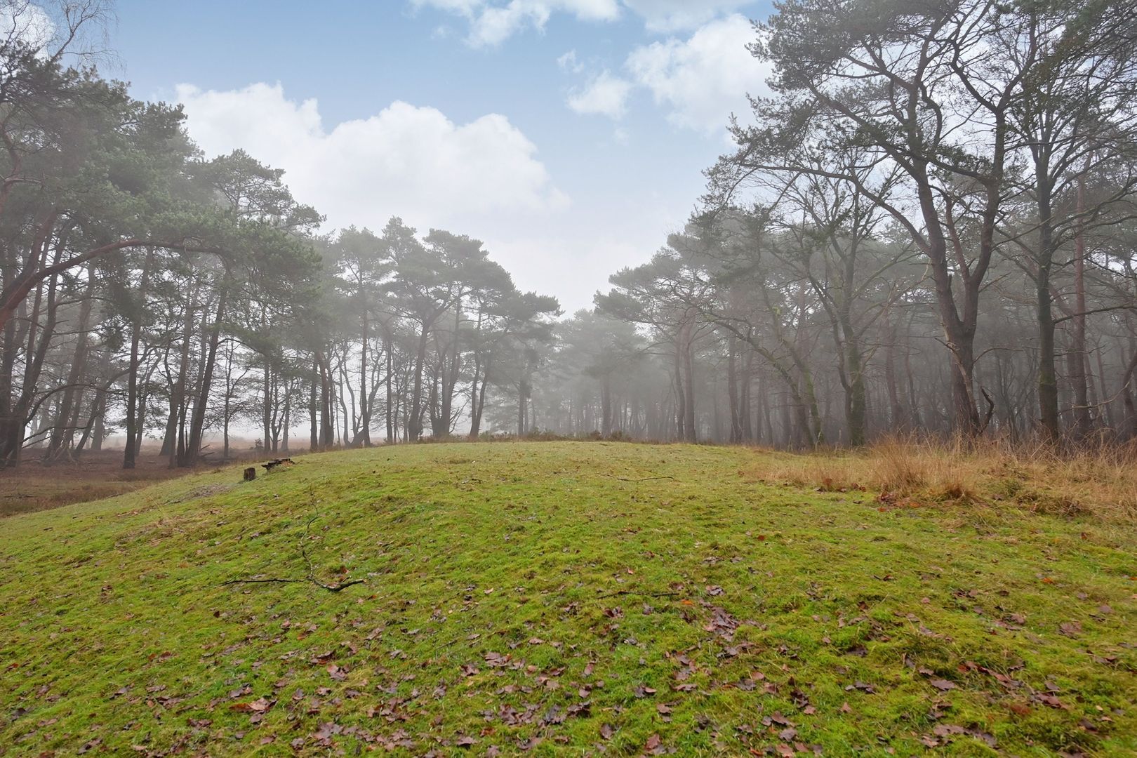 Erfgooiersstraat 247, Hilversum foto-9