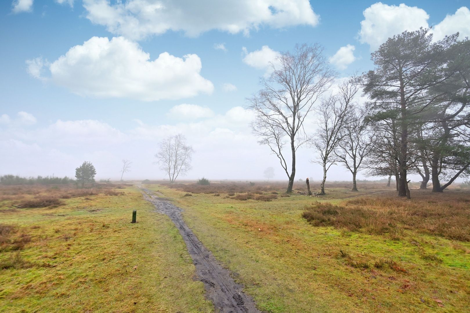 Erfgooiersstraat 247, Hilversum foto-8