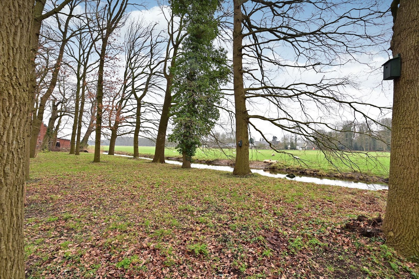 Noordereinde 257, 's-Graveland foto-17