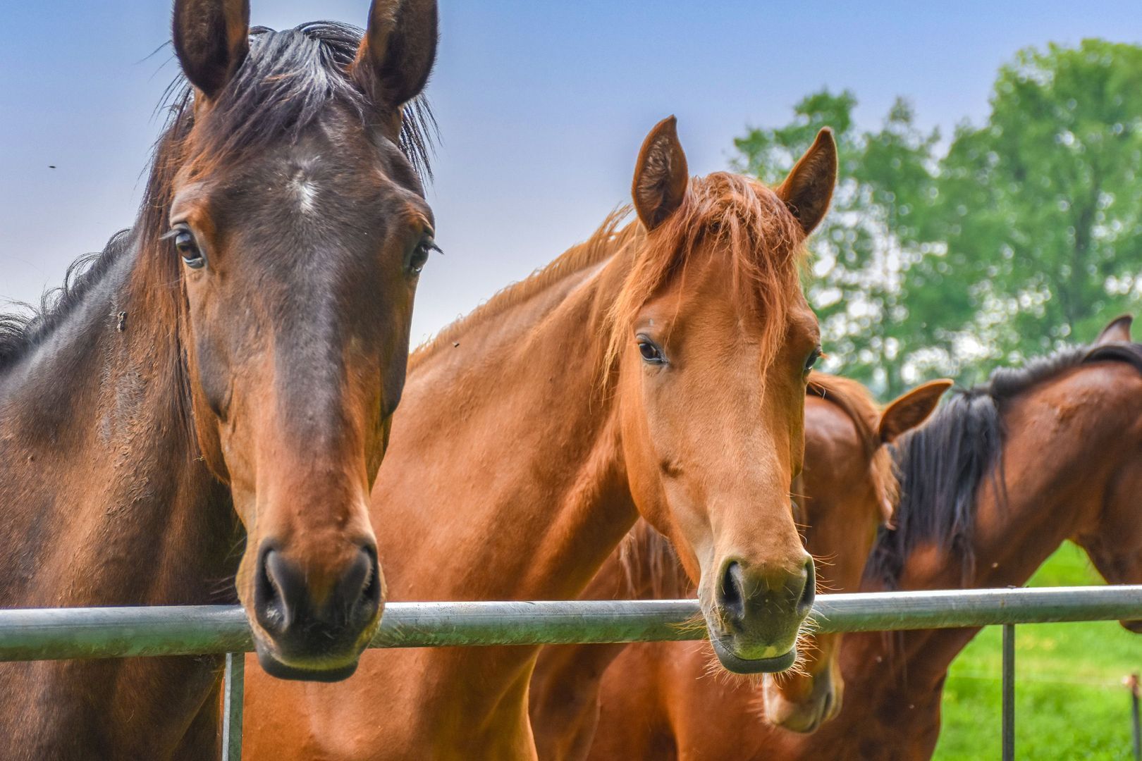 Meentweg 59, Eemnes foto-10