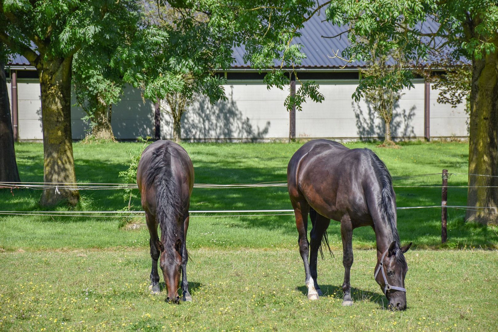 Ludenbos 10, Almere foto-36