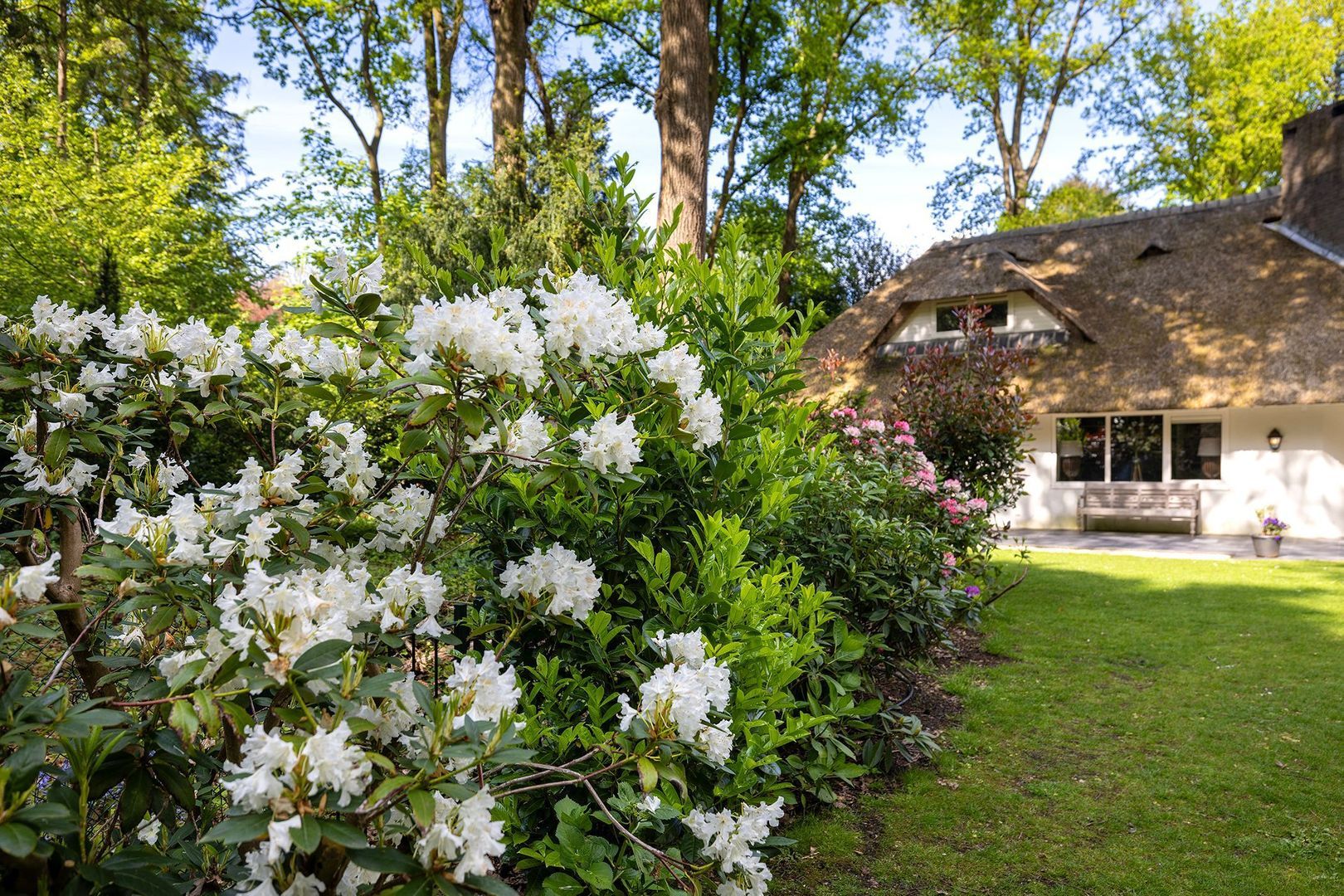 Torenlaan 66 a, Blaricum foto-41