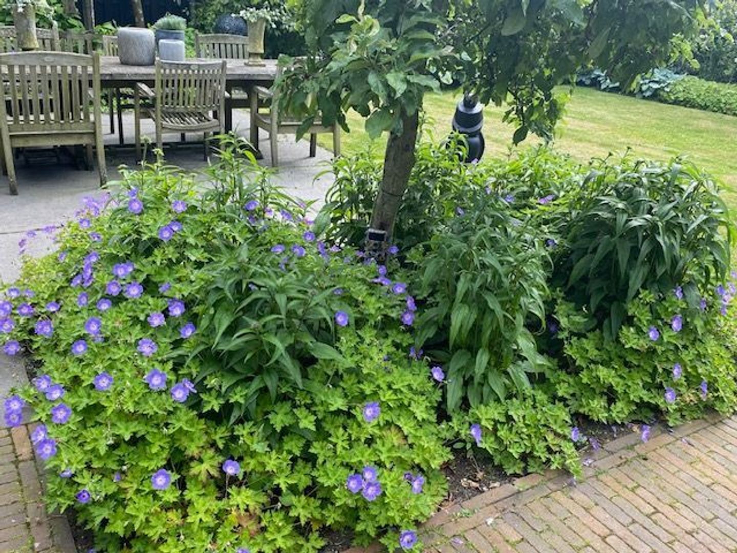 Gooiergracht 163, Laren foto-51