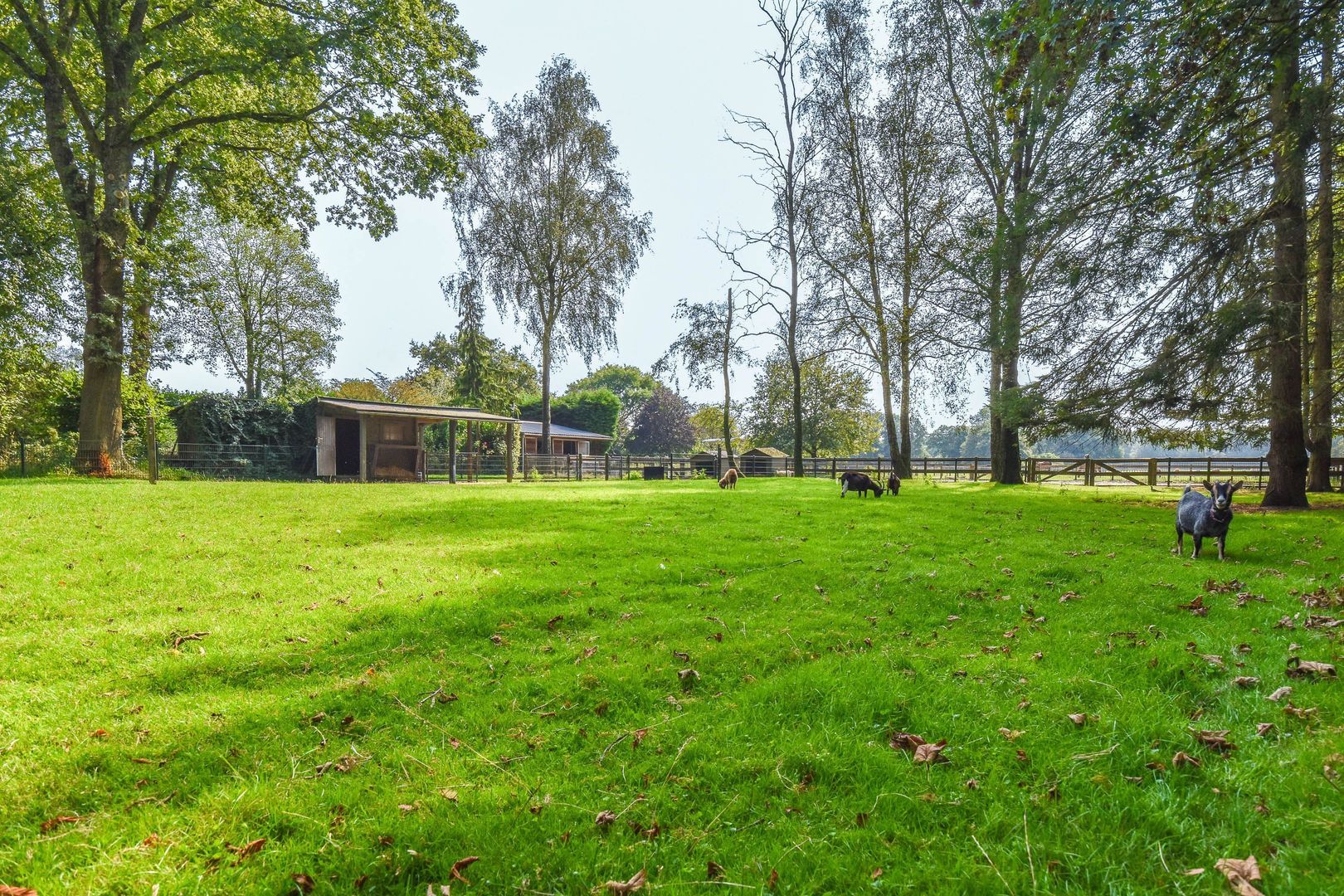 Klein Laren 25, Laren foto-45