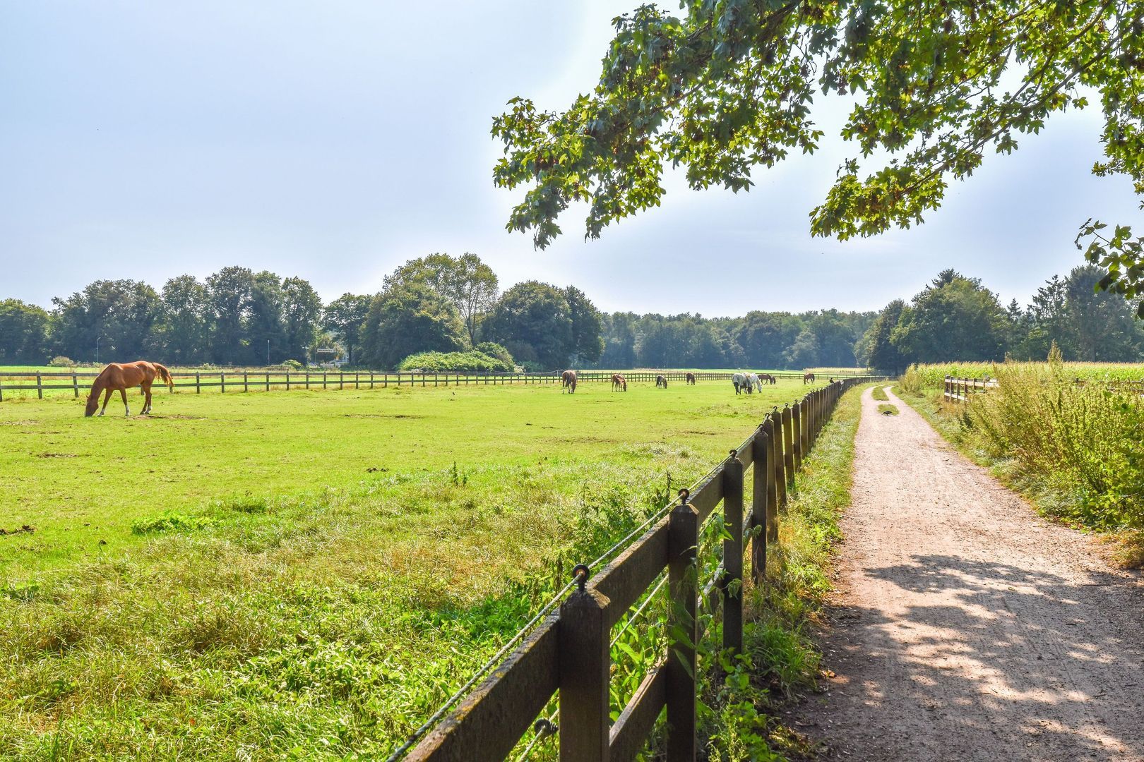 Klein Laren 25, Laren foto-44