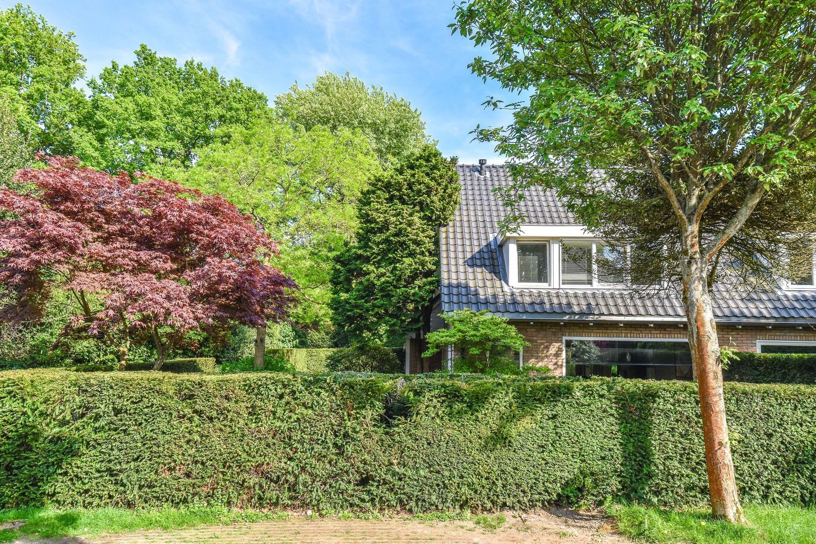 Koloniepad 18, Laren foto-0