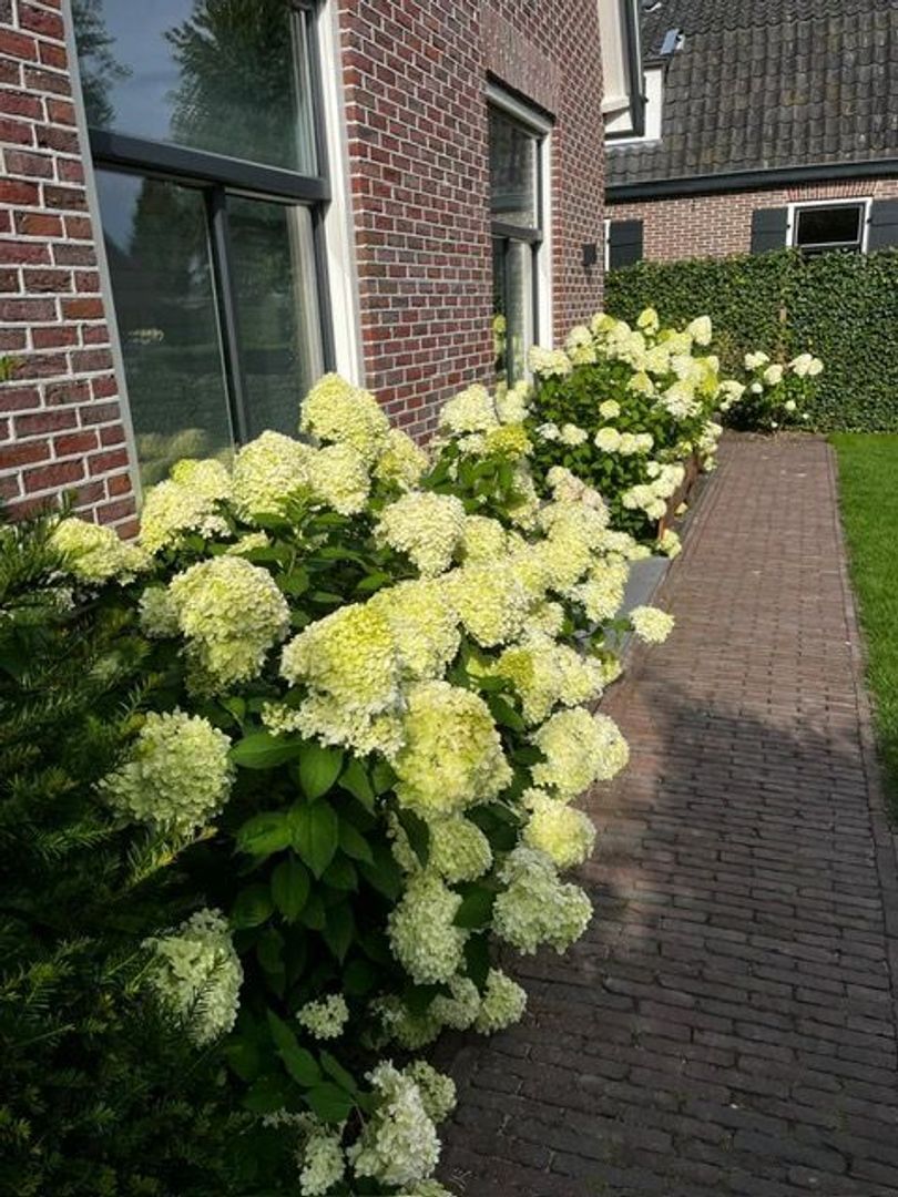 Laarderweg 40 A, Eemnes foto-67